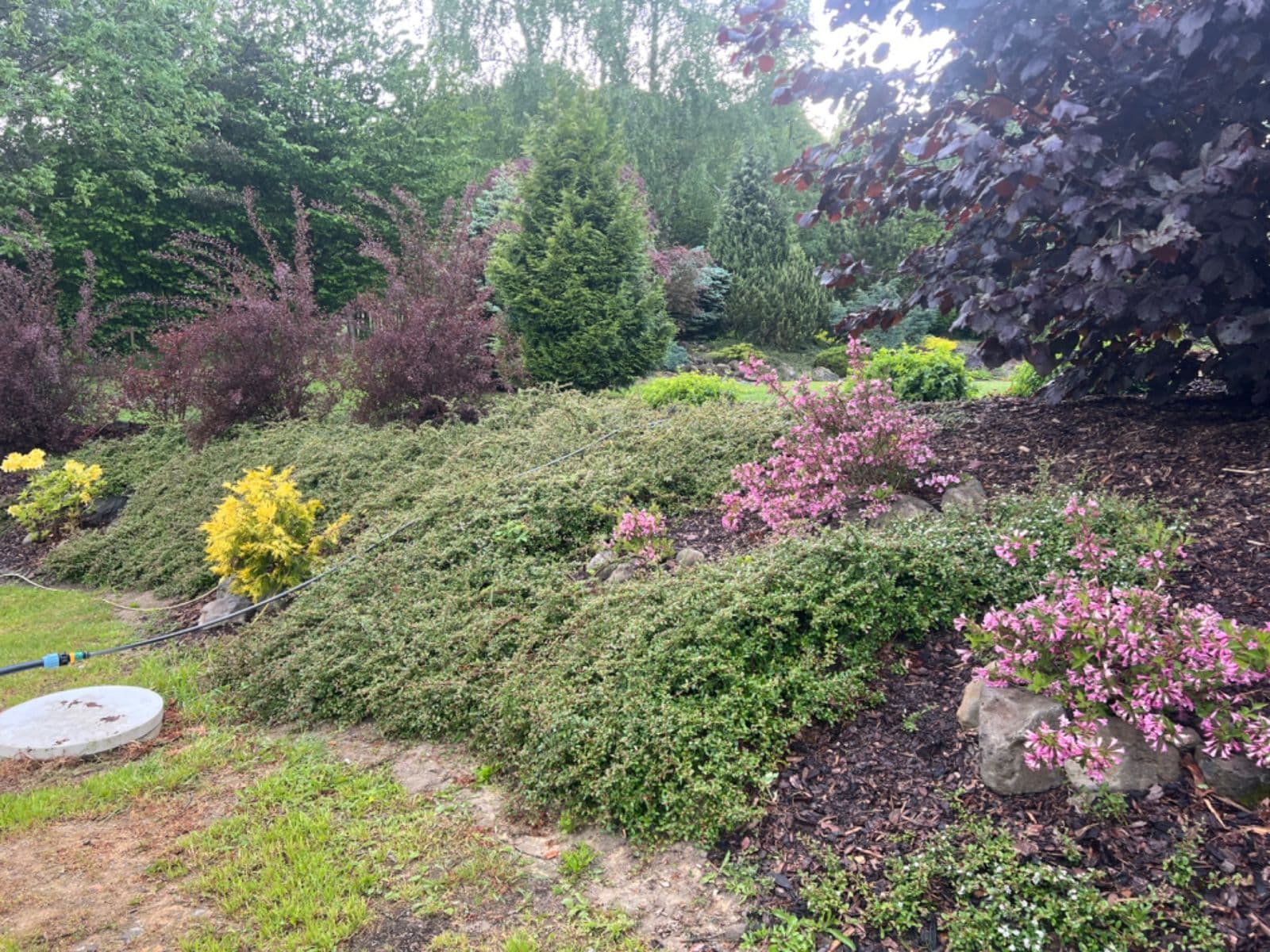 Predaj pozemku 806 m², Česká Lípa, Liberecký kraj Predaj pozemku 806 m², Česká Lípa, Liberecký kraj