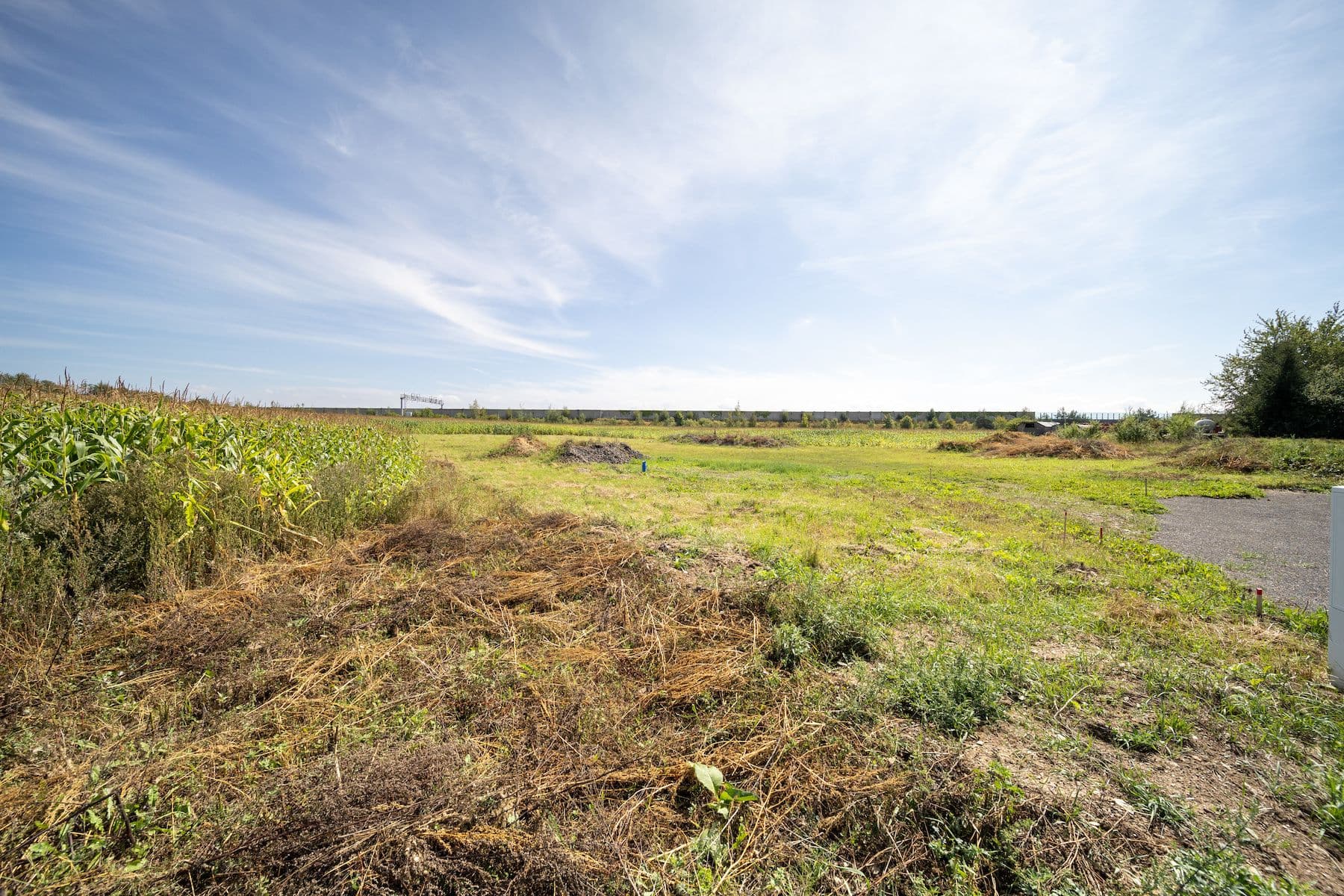 Predaj pozemku 6.770 m², Sudoměřice u Tábora, Jihočeský kraj Predaj pozemku 6.770 m², Sudoměřice u Tábora, Jihočeský kraj
