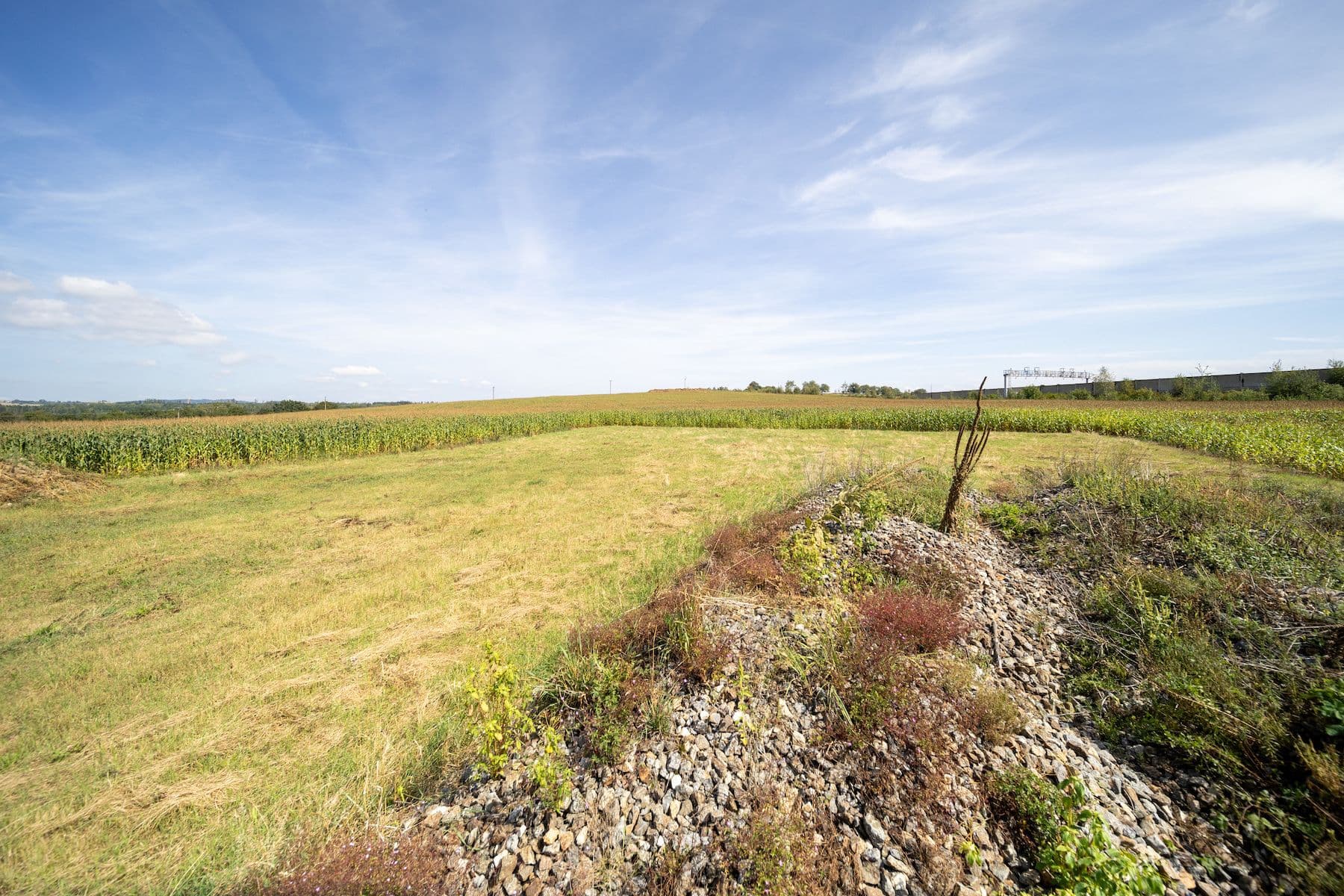 Predaj pozemku 6.770 m², Sudoměřice u Tábora, Jihočeský kraj Predaj pozemku 6.770 m², Sudoměřice u Tábora, Jihočeský kraj