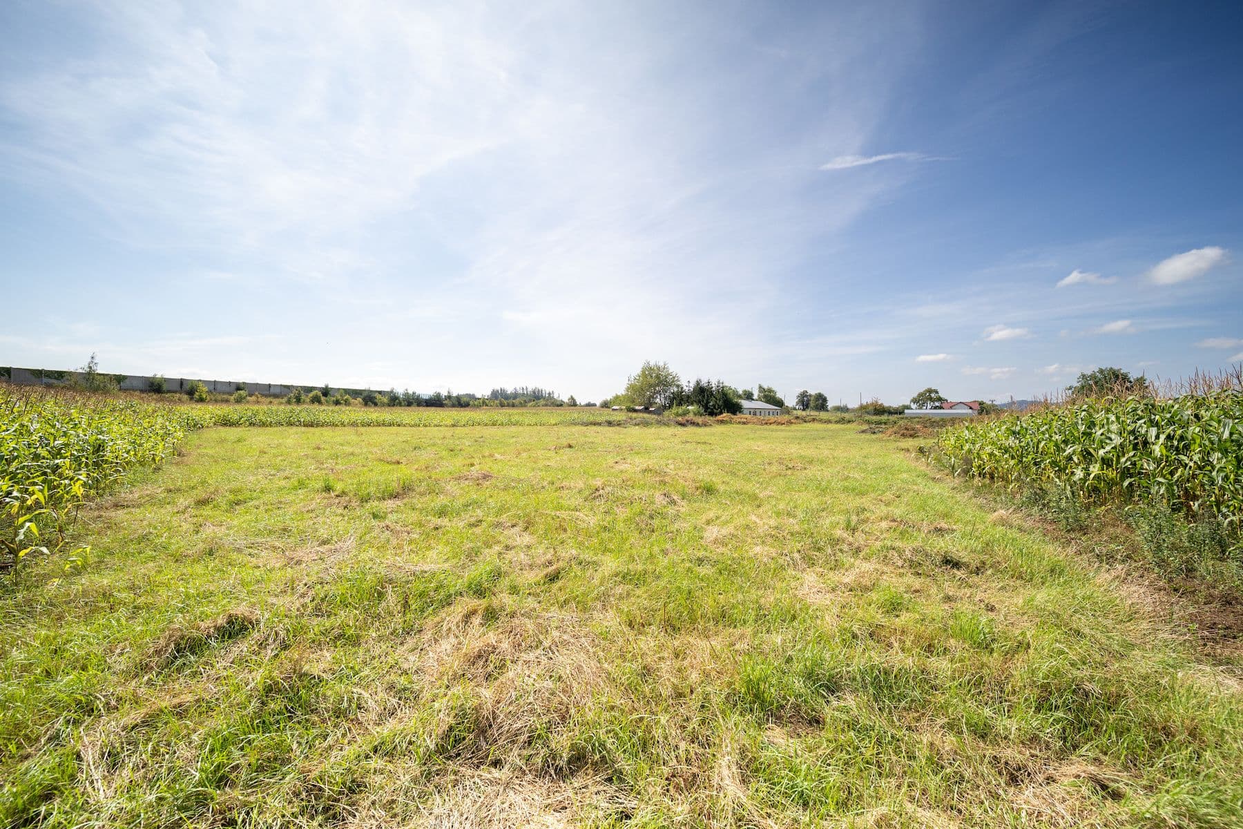 Predaj pozemku 6.770 m², Sudoměřice u Tábora, Jihočeský kraj Predaj pozemku 6.770 m², Sudoměřice u Tábora, Jihočeský kraj