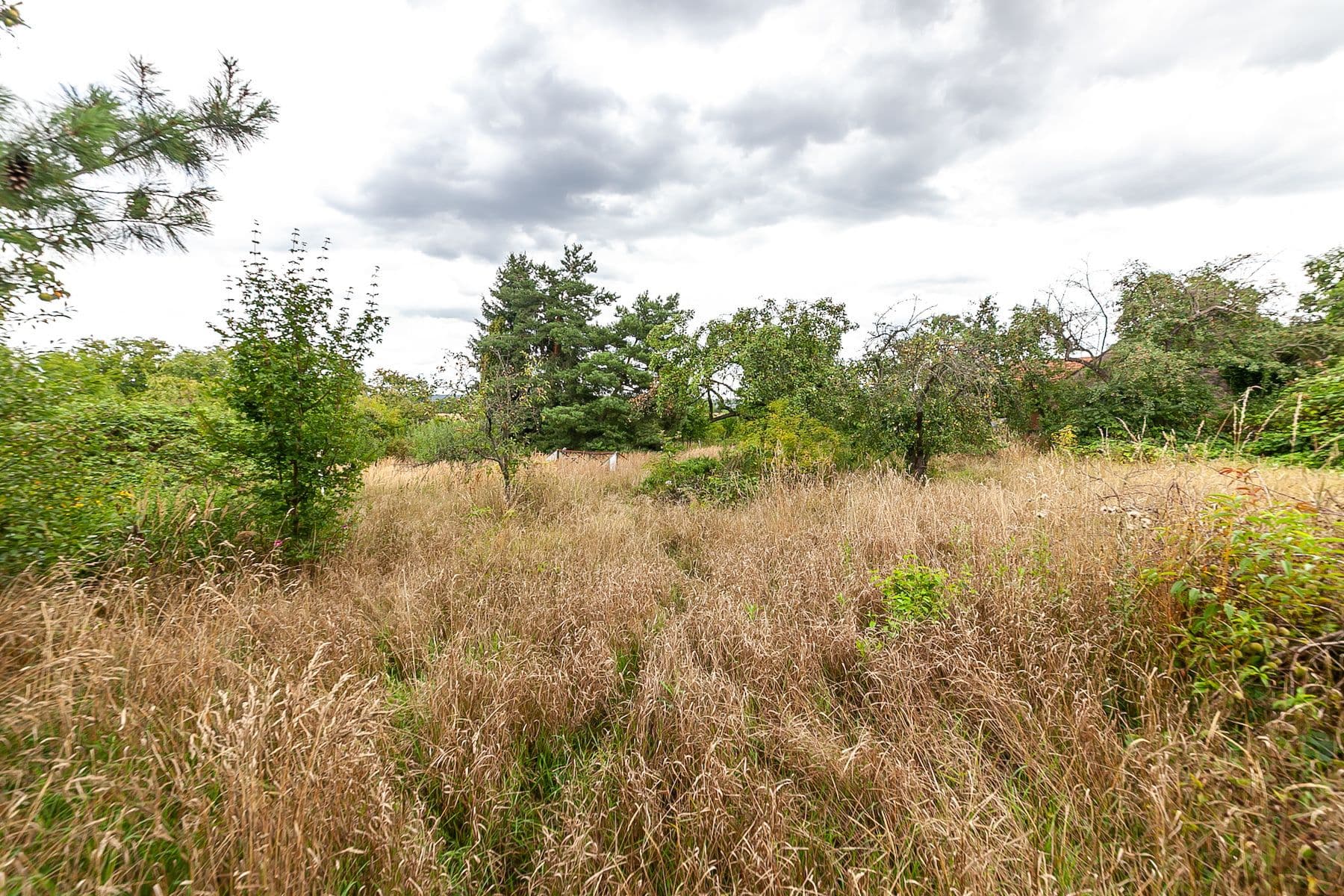 Predaj pozemku 3.823 m², Dolní Beřkovice, Středočeský kraj Predaj pozemku 3.823 m², Dolní Beřkovice, Středočeský kraj