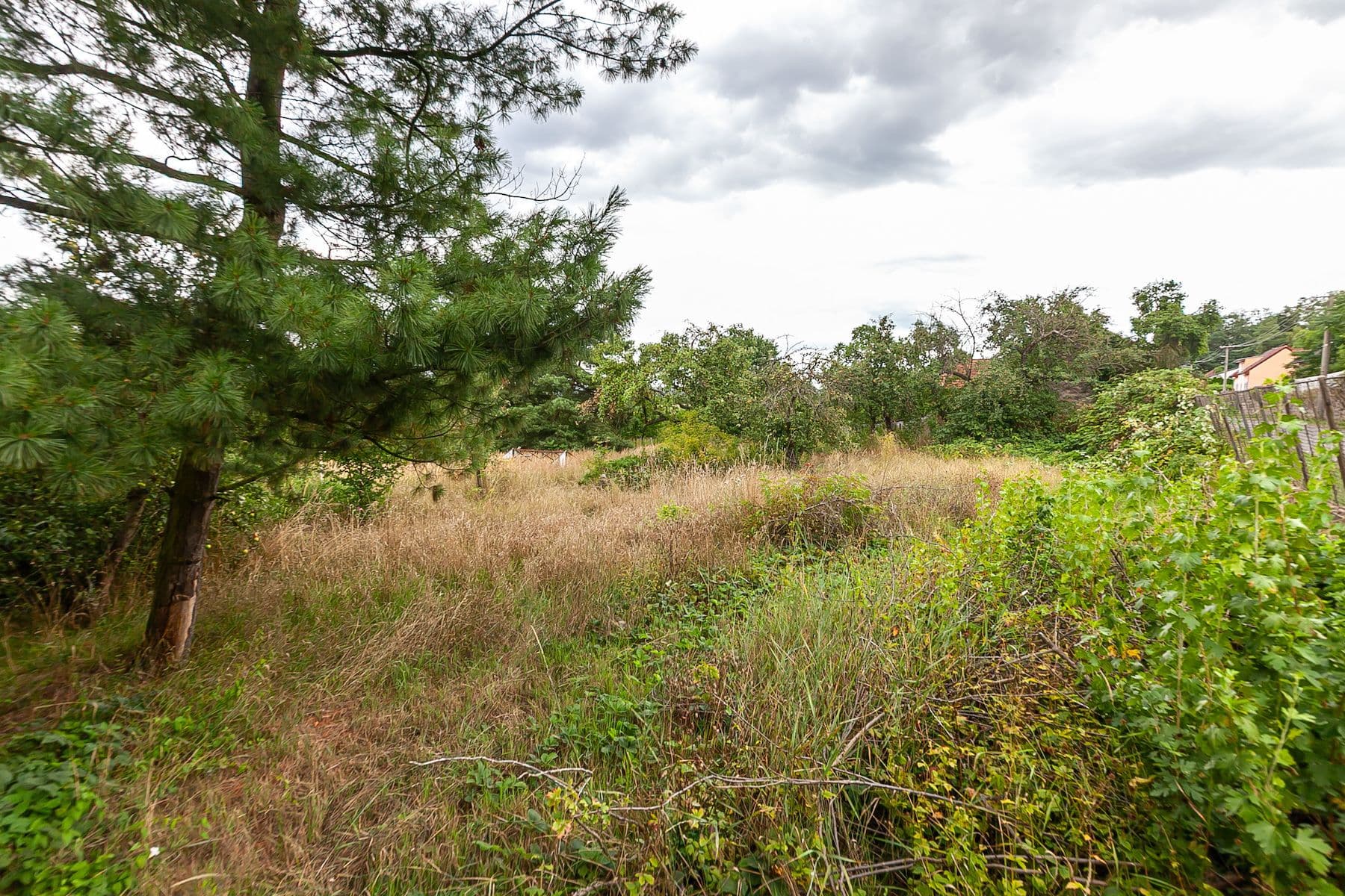 Predaj pozemku 3.823 m², Dolní Beřkovice, Středočeský kraj Predaj pozemku 3.823 m², Dolní Beřkovice, Středočeský kraj