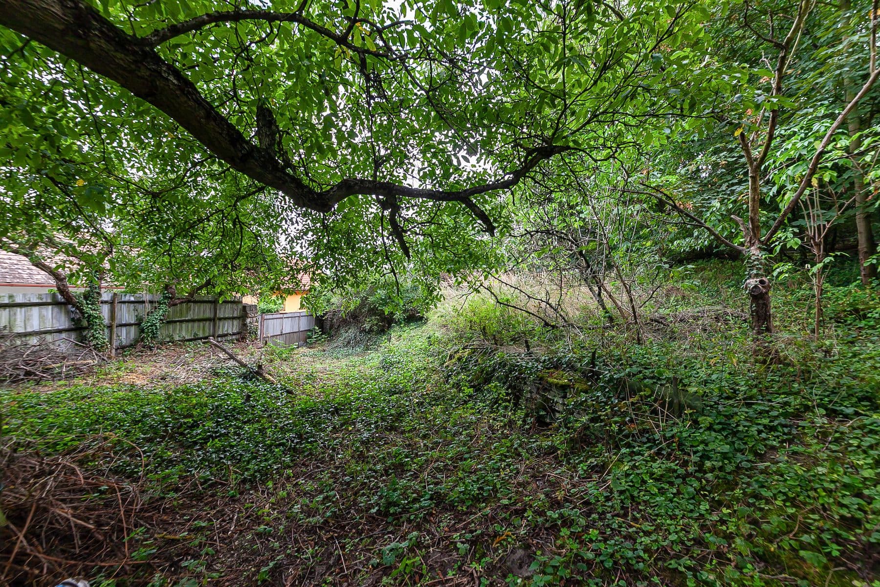 Predaj domu 200 m², pozemek 3.645 m², Dolní Beřkovice, Středočeský kraj Predaj domu 200 m², pozemek 3.645 m², Dolní Beřkovice, Středočeský kraj