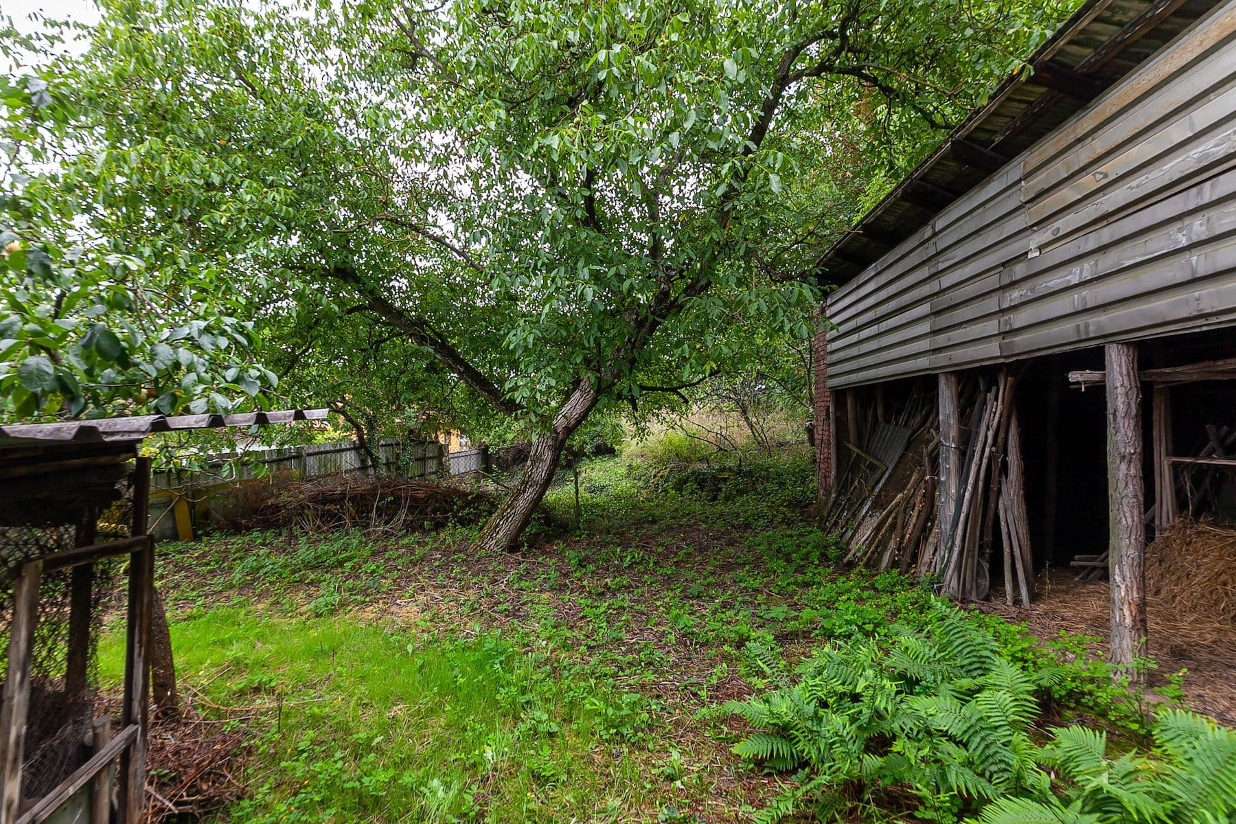 Predaj rekreačného objektu 200 m², pozemek 3.645 m², Dolní Beřkovice, Středočeský kraj Predaj rekreačného objektu 200 m², pozemek 3.645 m², Dolní Beřkovice, Středočeský kraj
