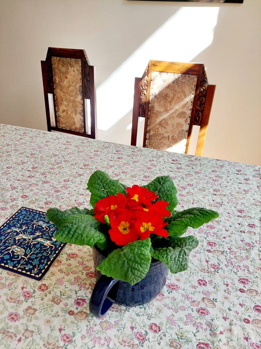 Prenájom bytu 84 m², Mánesova, Praha, Praha Prenájom bytu 84 m², Mánesova, Praha, Praha