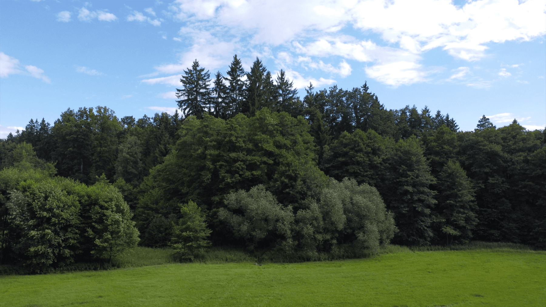 Predaj pozemku 2.300 m², Hluboká nad Vltavou, Jihočeský kraj Predaj pozemku 2.300 m², Hluboká nad Vltavou, Jihočeský kraj