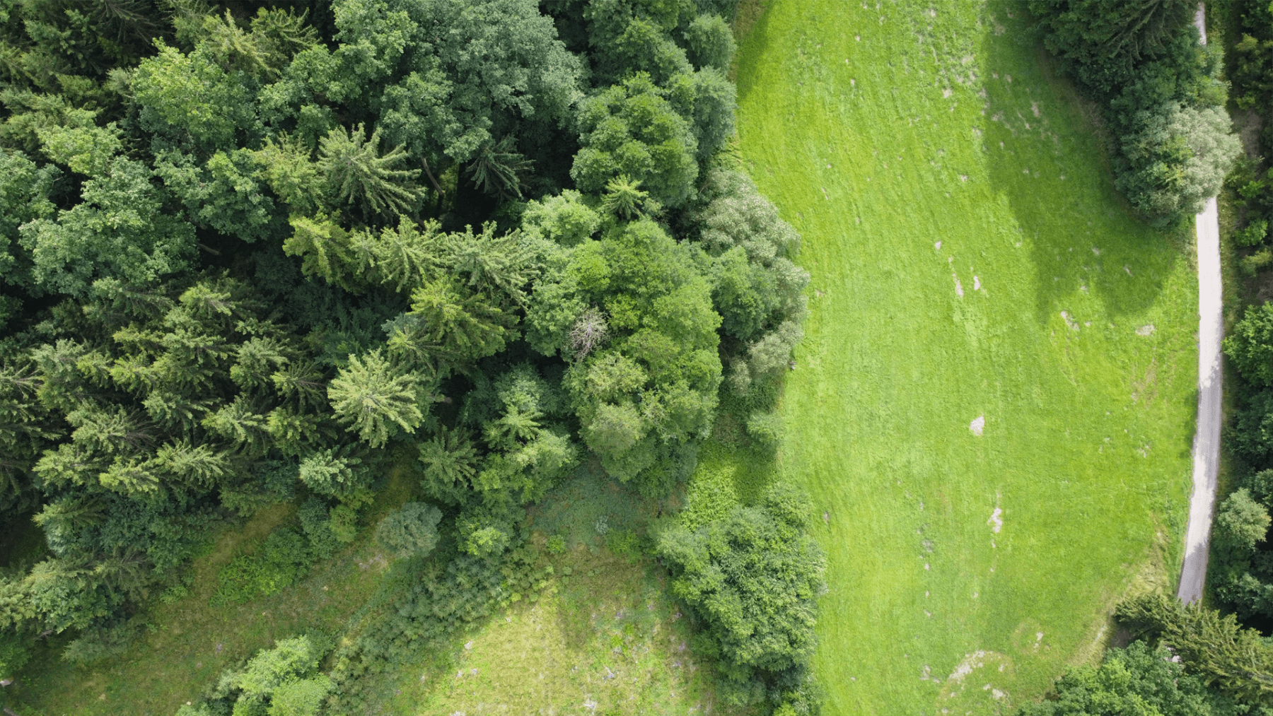 Predaj pozemku 2.300 m², Hluboká nad Vltavou, Jihočeský kraj Predaj pozemku 2.300 m², Hluboká nad Vltavou, Jihočeský kraj