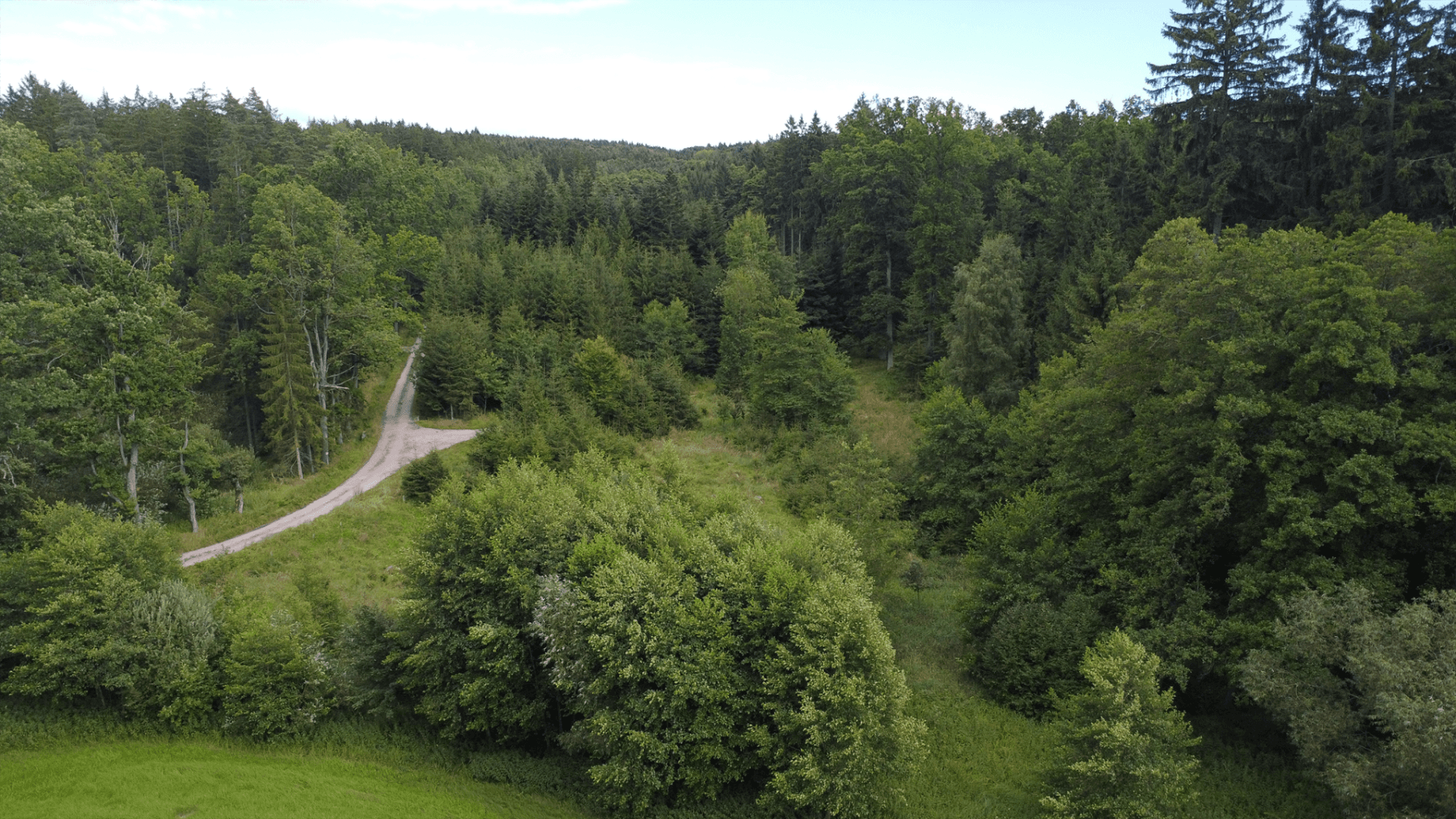 Predaj pozemku 2.300 m², Hluboká nad Vltavou, Jihočeský kraj Predaj pozemku 2.300 m², Hluboká nad Vltavou, Jihočeský kraj