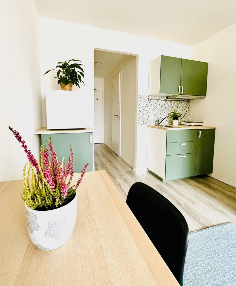 Prenájom bytu 1-izbový 23 m², Čenětická, Praha, Praha Prenájom bytu 1-izbový 23 m², Čenětická, Praha, Praha