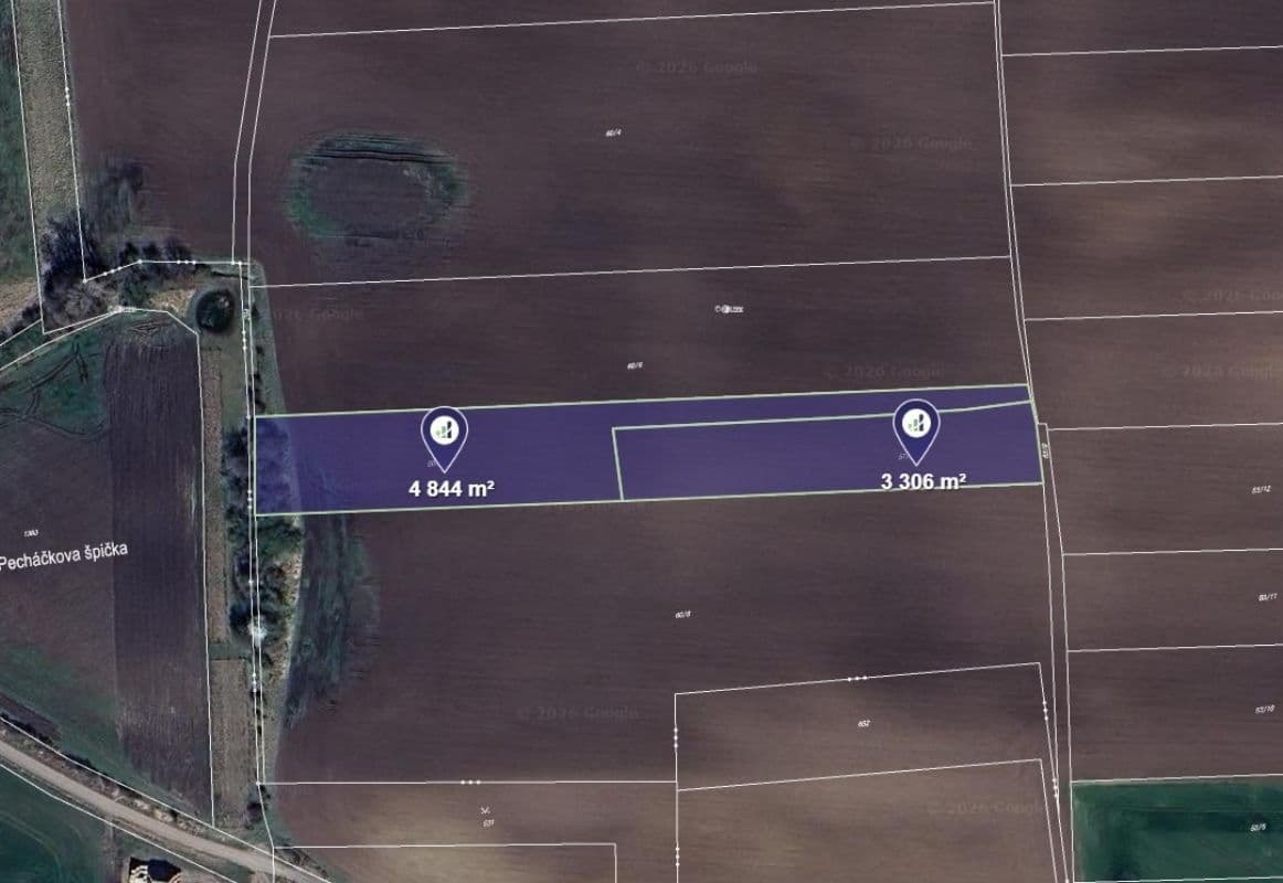 Predaj pozemku 8.150 m², Černíky, Středočeský kraj Predaj pozemku 8.150 m², Černíky, Středočeský kraj