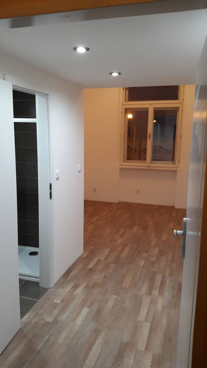 Prenájom bytu 1-izbový 20 m², Seifertova, Praha, Praha Prenájom bytu 1-izbový 20 m², Seifertova, Praha, Praha