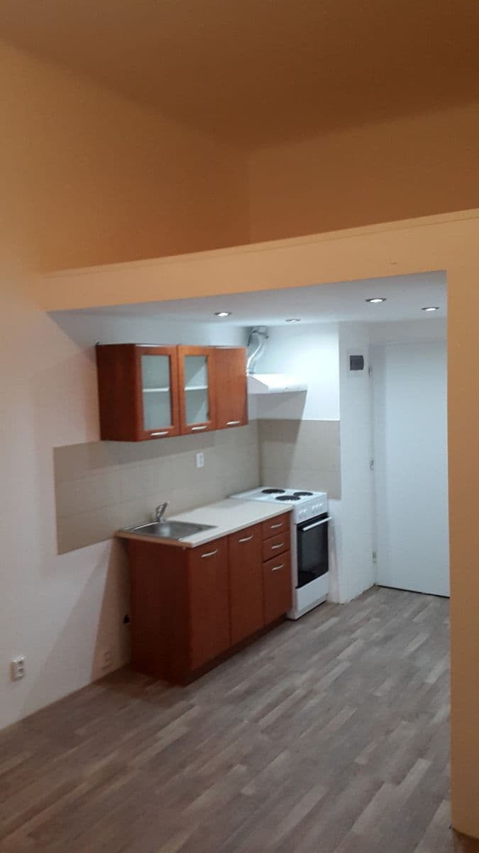 Prenájom bytu 1-izbový 20 m², Seifertova, Praha, Praha Prenájom bytu 1-izbový 20 m², Seifertova, Praha, Praha