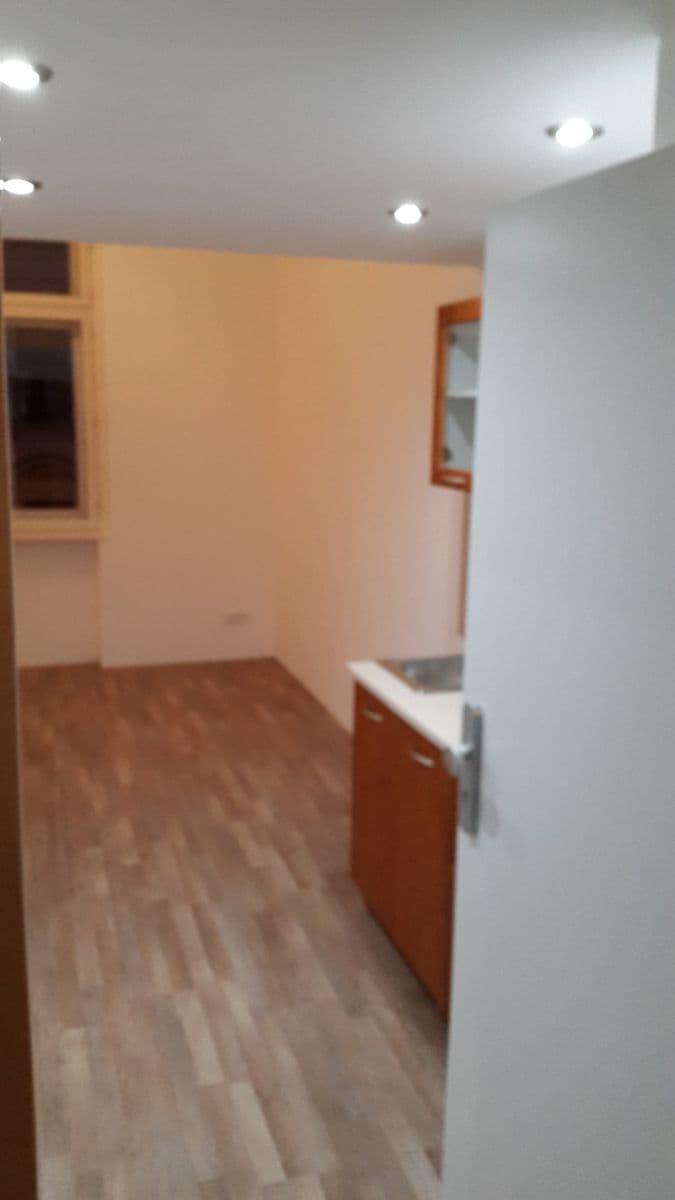 Prenájom bytu 1-izbový 20 m², Seifertova, Praha, Praha Prenájom bytu 1-izbový 20 m², Seifertova, Praha, Praha