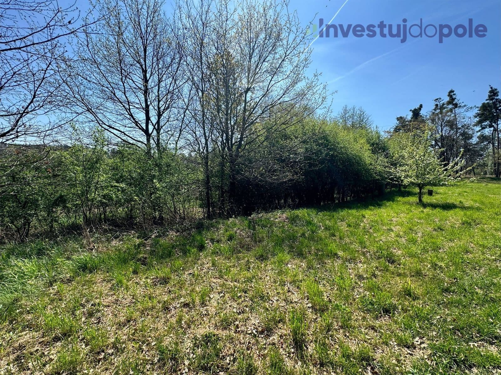 Predaj pozemku 7.161 m², Přelouč, Pardubický kraj Predaj pozemku 7.161 m², Přelouč, Pardubický kraj