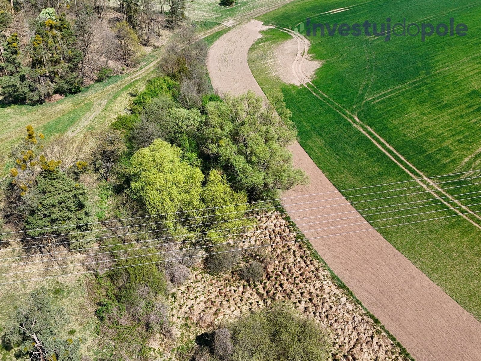 Predaj pozemku 7.161 m², Přelouč, Pardubický kraj Predaj pozemku 7.161 m², Přelouč, Pardubický kraj