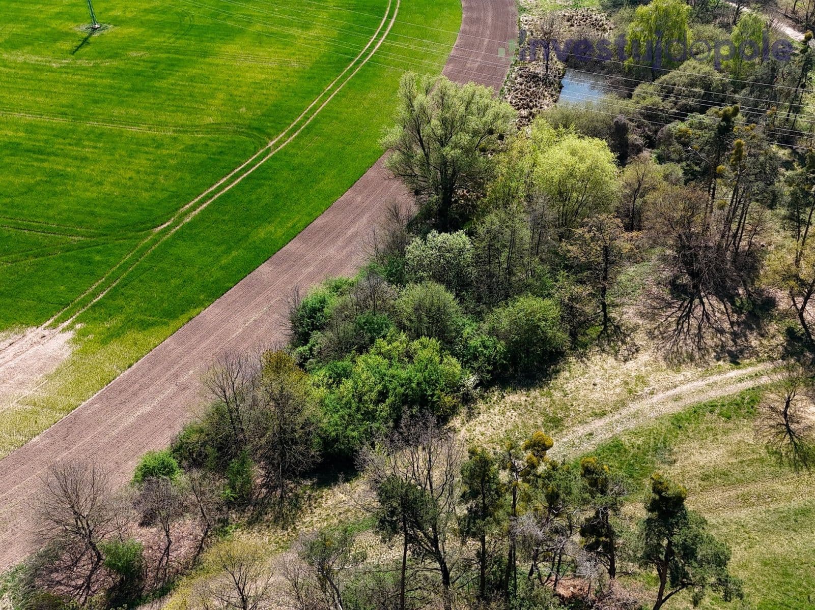 Predaj pozemku 7.161 m², Přelouč, Pardubický kraj Predaj pozemku 7.161 m², Přelouč, Pardubický kraj