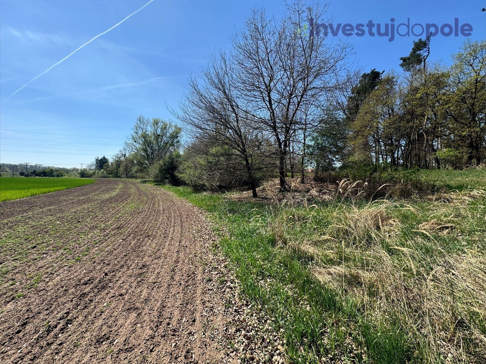 Predaj pozemku 7.161 m², Přelouč, Pardubický kraj Predaj pozemku 7.161 m², Přelouč, Pardubický kraj