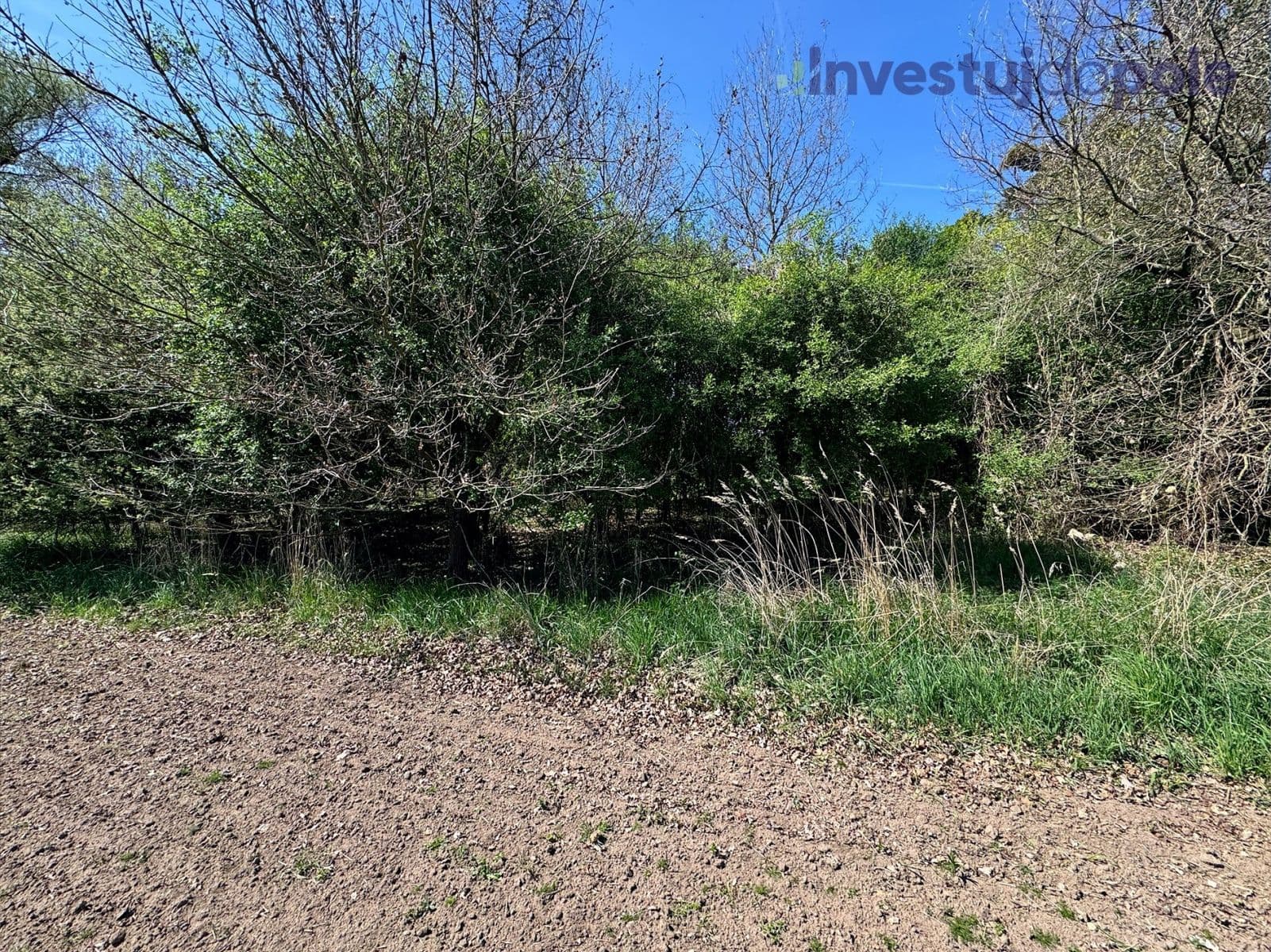 Predaj pozemku 7.161 m², Přelouč, Pardubický kraj Predaj pozemku 7.161 m², Přelouč, Pardubický kraj