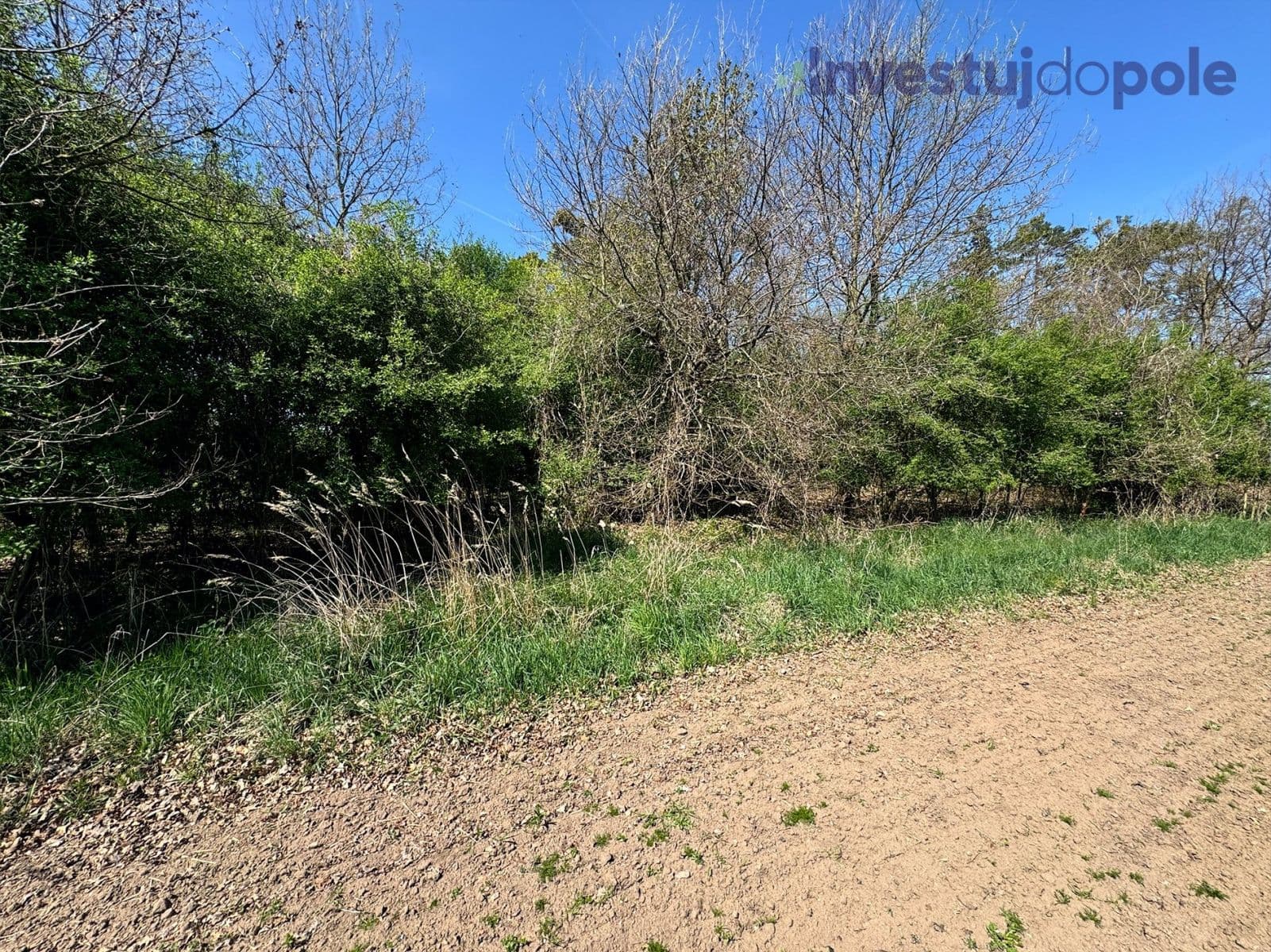 Predaj pozemku 7.161 m², Přelouč, Pardubický kraj Predaj pozemku 7.161 m², Přelouč, Pardubický kraj