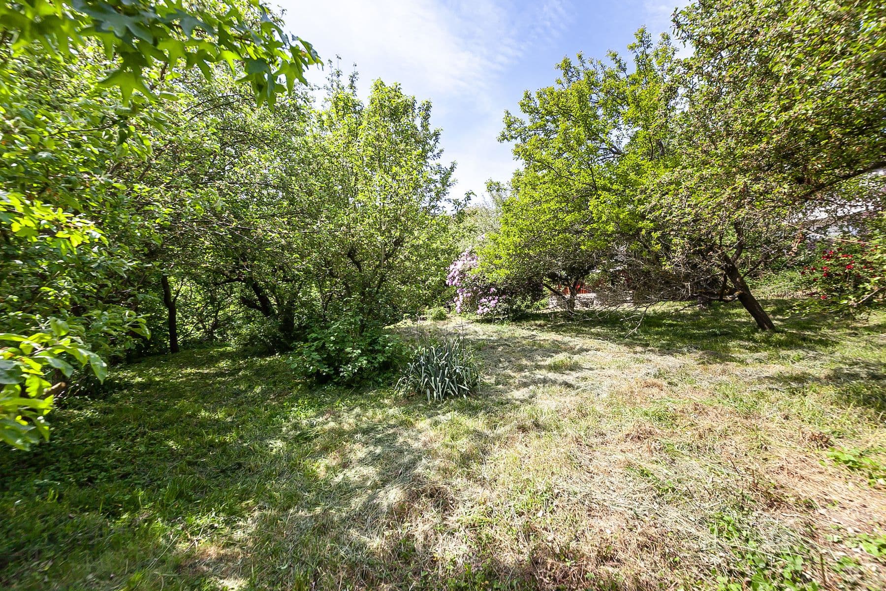 Predaj pozemku 1.552 m², Na Vinicích, Davle, Středočeský kraj Predaj pozemku 1.552 m², Na Vinicích, Davle, Středočeský kraj