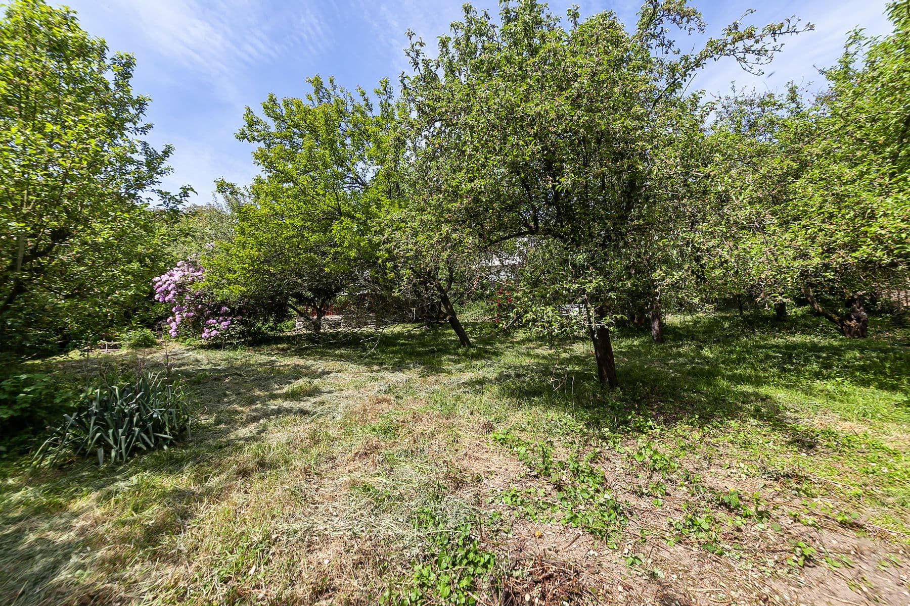 Predaj pozemku 1.552 m², Na Vinicích, Davle, Středočeský kraj Predaj pozemku 1.552 m², Na Vinicích, Davle, Středočeský kraj