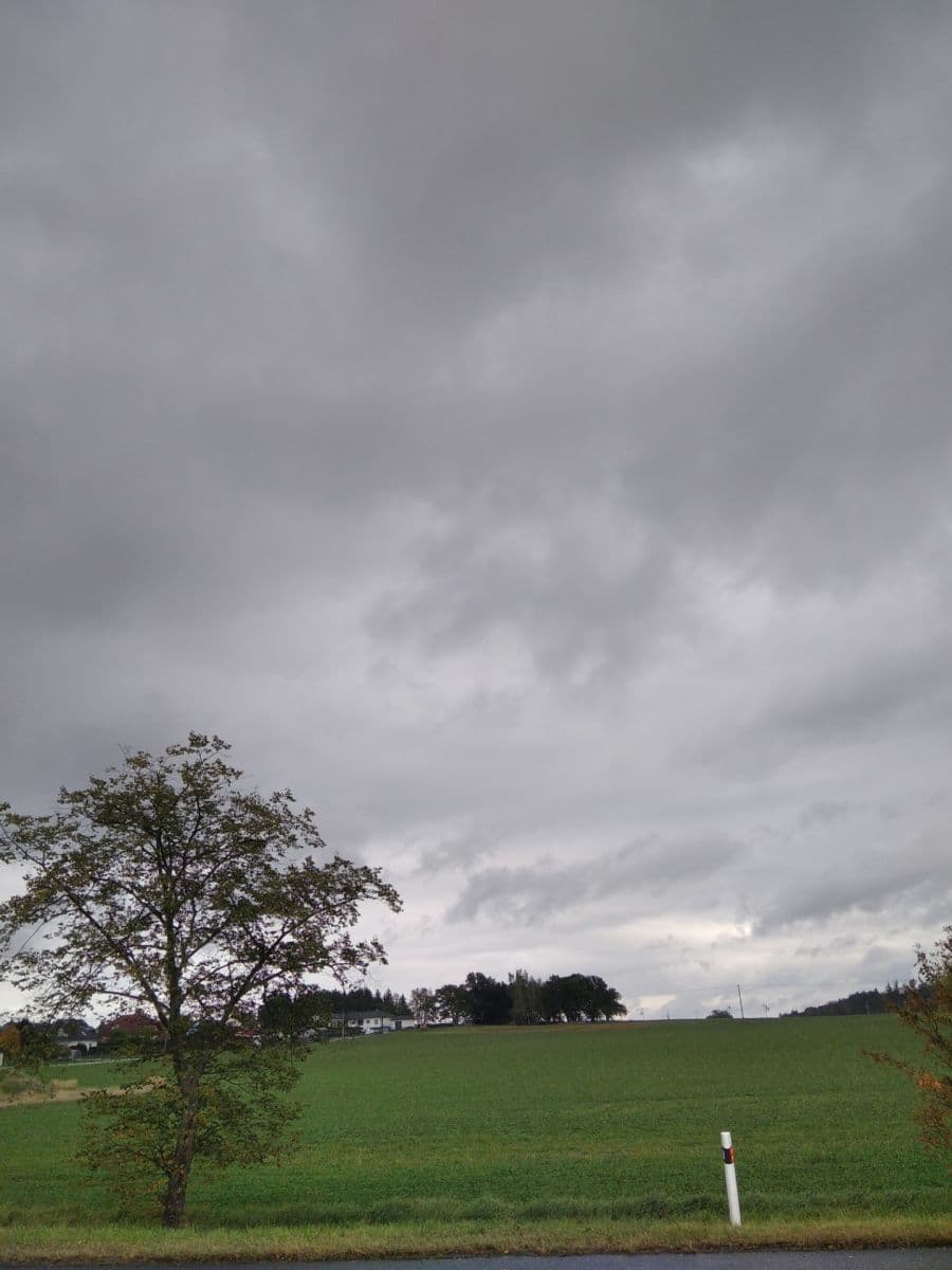 Predaj pozemku 1.003 m², 3, Klenovice, Jihočeský kraj Predaj pozemku 1.003 m², 3, Klenovice, Jihočeský kraj