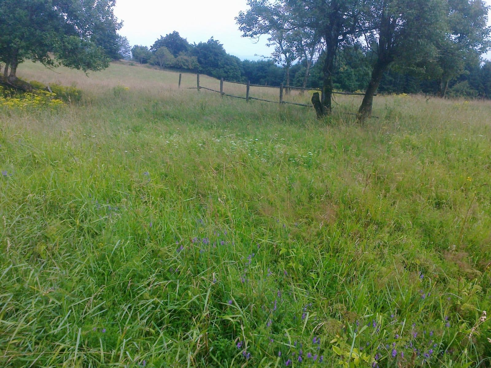 Predaj pozemku 2.256 m², Krupka, Ústecký kraj Predaj pozemku 2.256 m², Krupka, Ústecký kraj