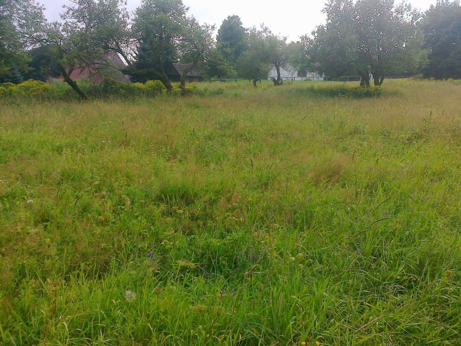 Predaj pozemku 2.256 m², Krupka, Ústecký kraj Predaj pozemku 2.256 m², Krupka, Ústecký kraj