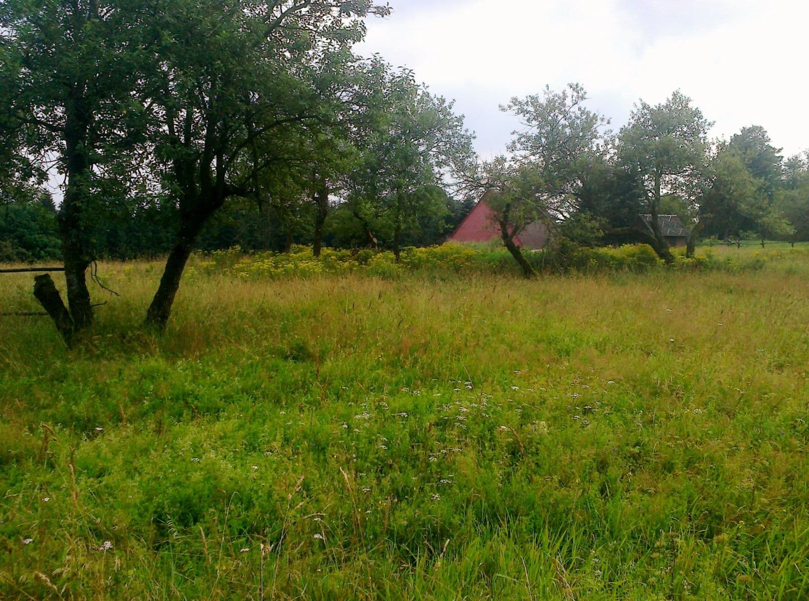 Predaj pozemku 2.256 m², Krupka, Ústecký kraj Predaj pozemku 2.256 m², Krupka, Ústecký kraj