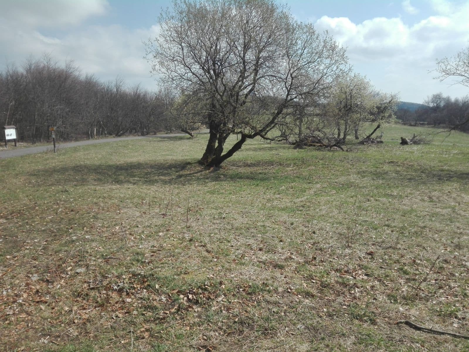 Predaj pozemku 2.256 m², Krupka, Ústecký kraj Predaj pozemku 2.256 m², Krupka, Ústecký kraj