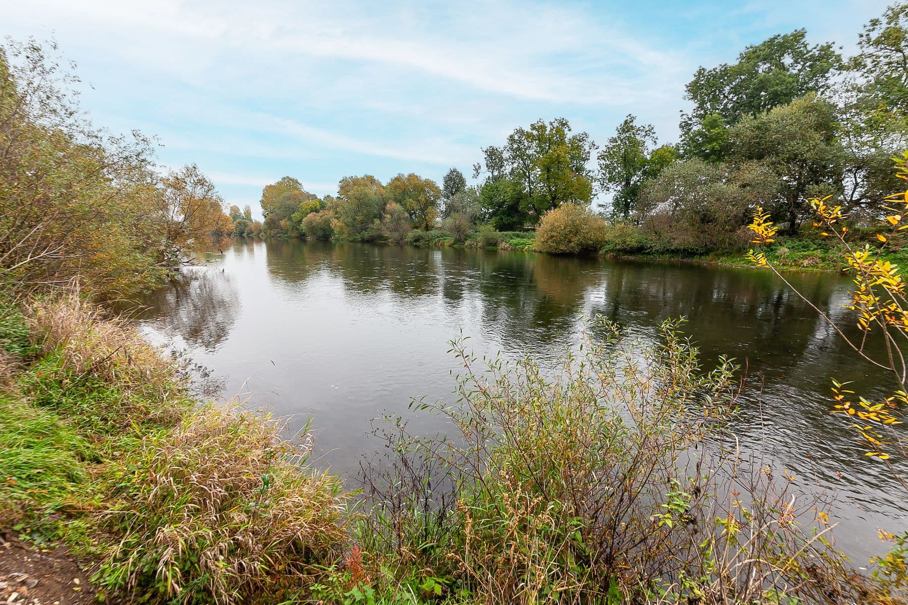 Predaj domu 252 m², pozemek 710 m², Olbrachtova, Černošice, Středočeský kraj Predaj domu 252 m², pozemek 710 m², Olbrachtova, Černošice, Středočeský kraj