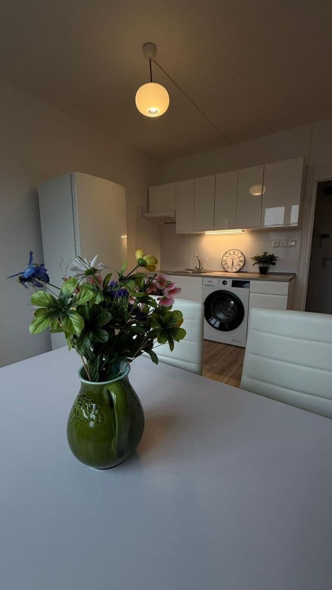 Prenájom bytu 1-izbový 35 m², Palackého, Chodov, Karlovarský kraj Prenájom bytu 1-izbový 35 m², Palackého, Chodov, Karlovarský kraj