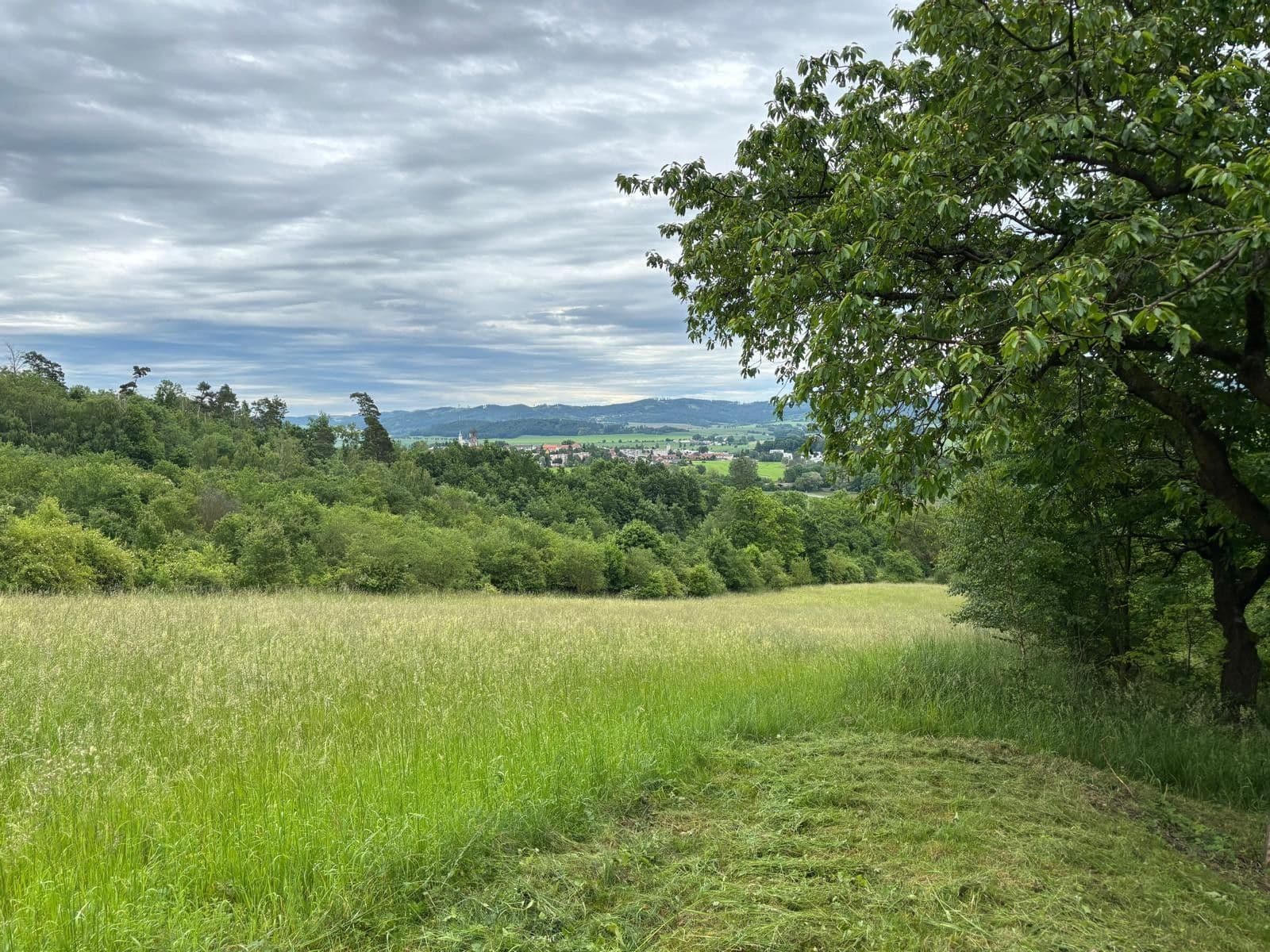 Predaj rekreačného objektu 37 m², pozemek 270 m², Jevíčko, Pardubický kraj Predaj rekreačného objektu 37 m², pozemek 270 m², Jevíčko, Pardubický kraj