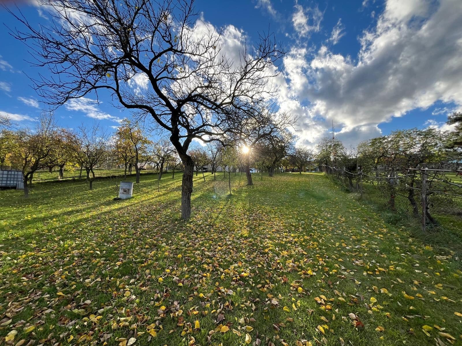 Predaj domu 130 m², pozemek 2.506 m², Oleksovice, Jihomoravský kraj Predaj domu 130 m², pozemek 2.506 m², Oleksovice, Jihomoravský kraj