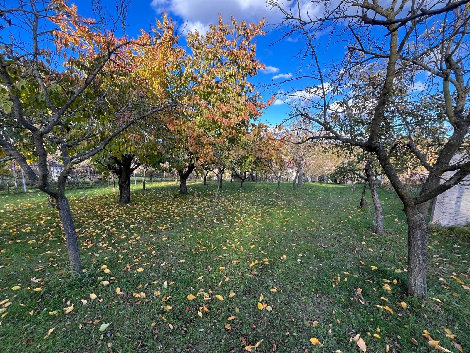 Predaj domu 130 m², pozemek 2.506 m², Oleksovice, Jihomoravský kraj Predaj domu 130 m², pozemek 2.506 m², Oleksovice, Jihomoravský kraj