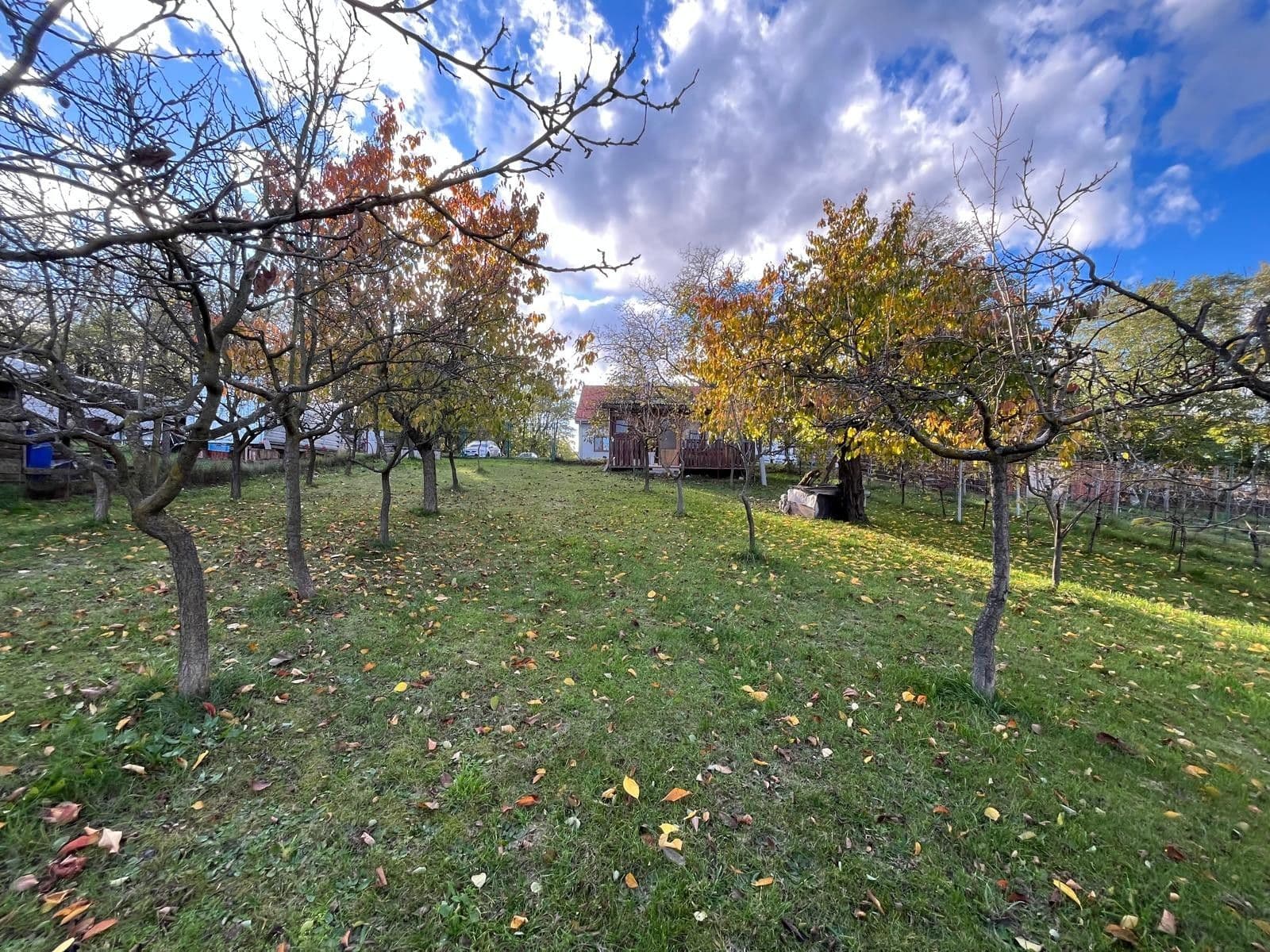 Predaj domu 130 m², pozemek 2.506 m², Oleksovice, Jihomoravský kraj Predaj domu 130 m², pozemek 2.506 m², Oleksovice, Jihomoravský kraj