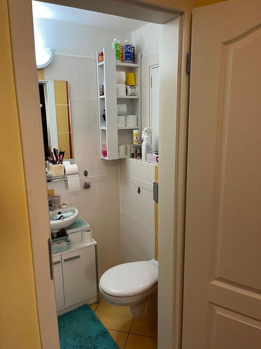 Predaj bytu 3-izbový 301 m², Zámecký vrch, Karlovy Vary, Karlovarský kraj Predaj bytu 3-izbový 301 m², Zámecký vrch, Karlovy Vary, Karlovarský kraj