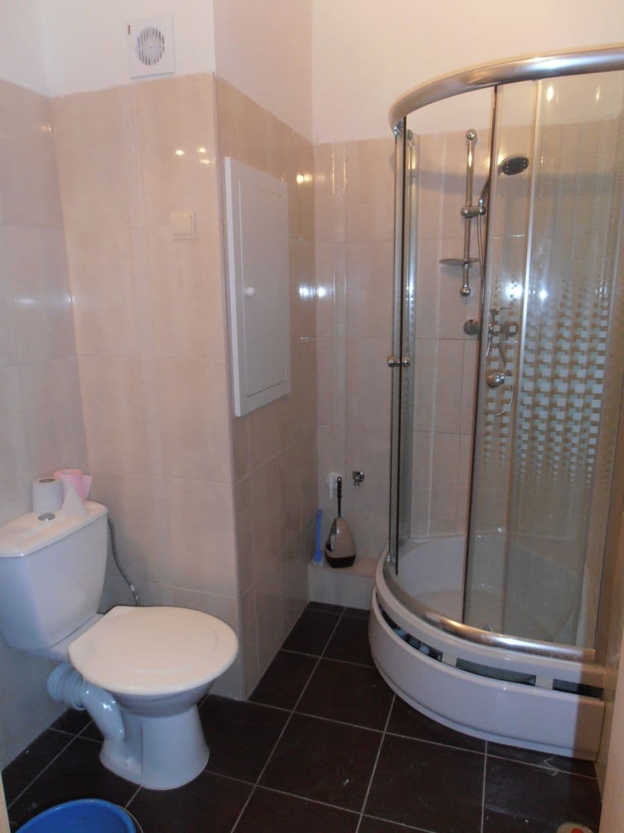 Prenájom bytu 1-izbový 38 m², Březenecká, Chomutov, Ústecký kraj Prenájom bytu 1-izbový 38 m², Březenecká, Chomutov, Ústecký kraj