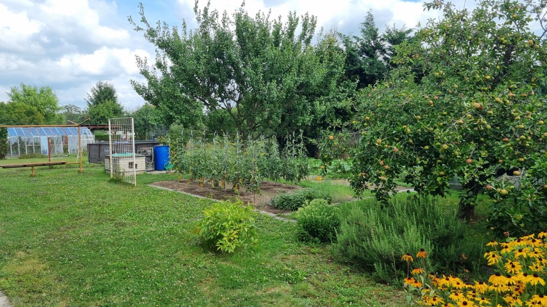 Predaj domu 180 m², pozemek 898 m², Mikulovická, Pardubice, Pardubický kraj Predaj domu 180 m², pozemek 898 m², Mikulovická, Pardubice, Pardubický kraj