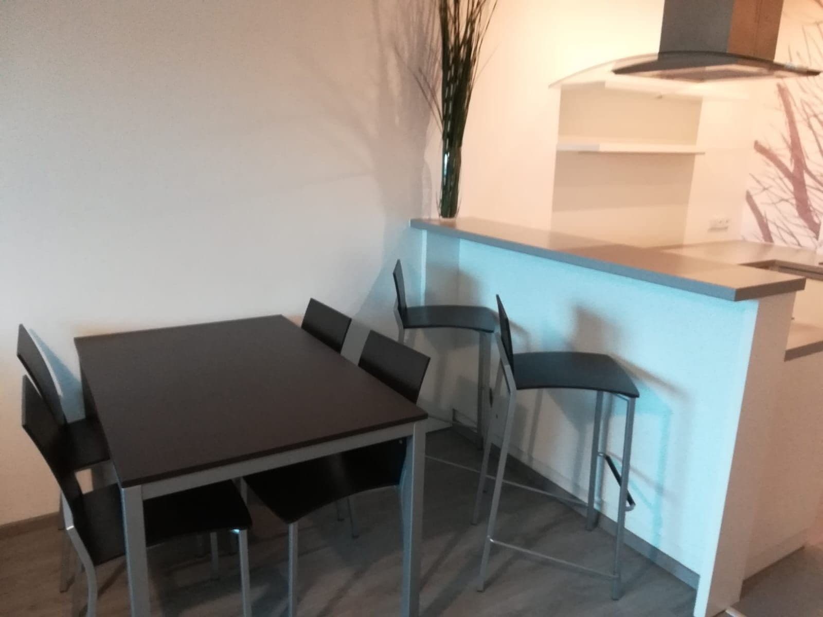 Prenájom bytu 2-izbový 55 m², Rysova, Brno, Jihomoravský kraj Prenájom bytu 2-izbový 55 m², Rysova, Brno, Jihomoravský kraj