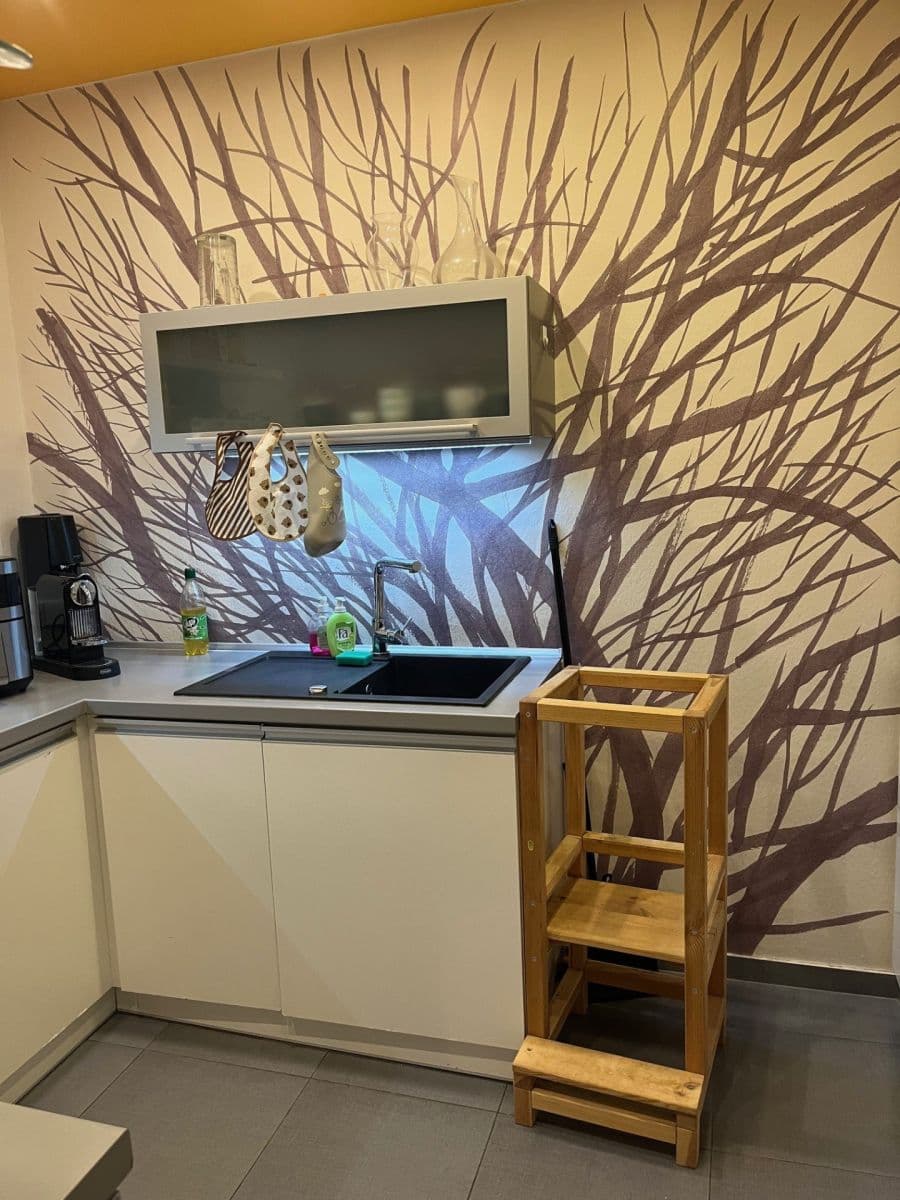 Prenájom bytu 2-izbový 55 m², Rysova, Brno, Jihomoravský kraj Prenájom bytu 2-izbový 55 m², Rysova, Brno, Jihomoravský kraj