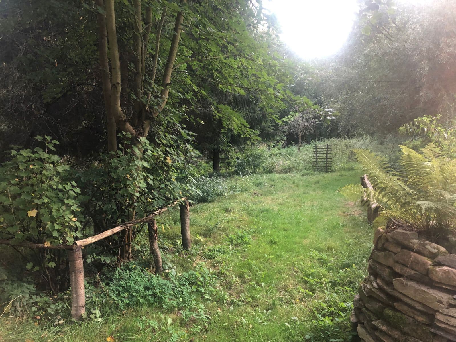 Predaj domu 220 m², pozemek 1.257 m², Malečov, Ústecký kraj Predaj domu 220 m², pozemek 1.257 m², Malečov, Ústecký kraj