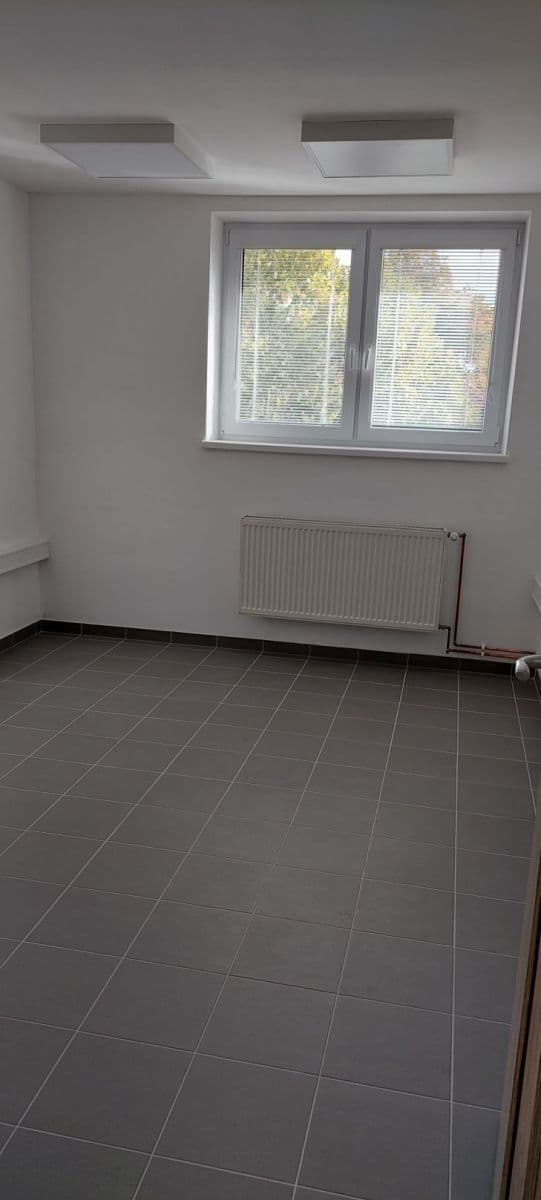 Prenájom nebytového priestoru 20 m², Zacpalova, Krnov, Moravskoslezský kraj Prenájom nebytového priestoru 20 m², Zacpalova, Krnov, Moravskoslezský kraj