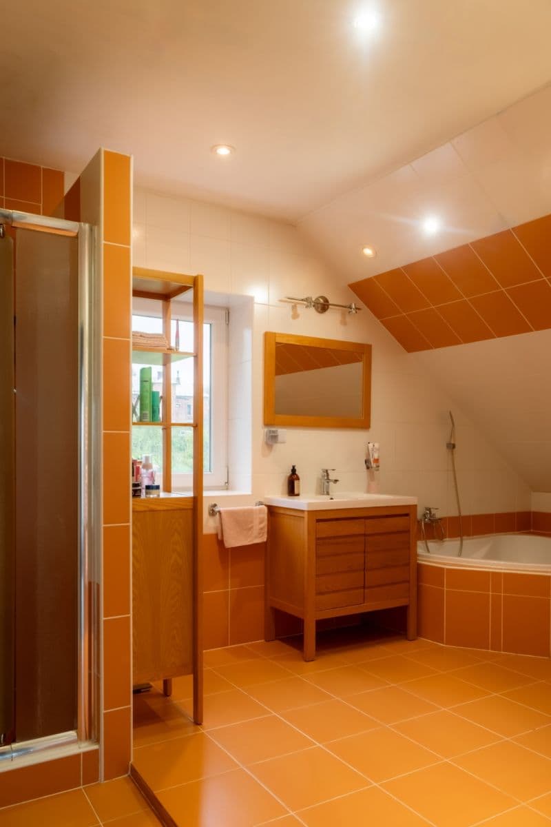 Predaj domu 550 m², pozemek 2.805 m², 44434, Domašov u Šternberka, Olomoucký kraj Predaj domu 550 m², pozemek 2.805 m², 44434, Domašov u Šternberka, Olomoucký kraj