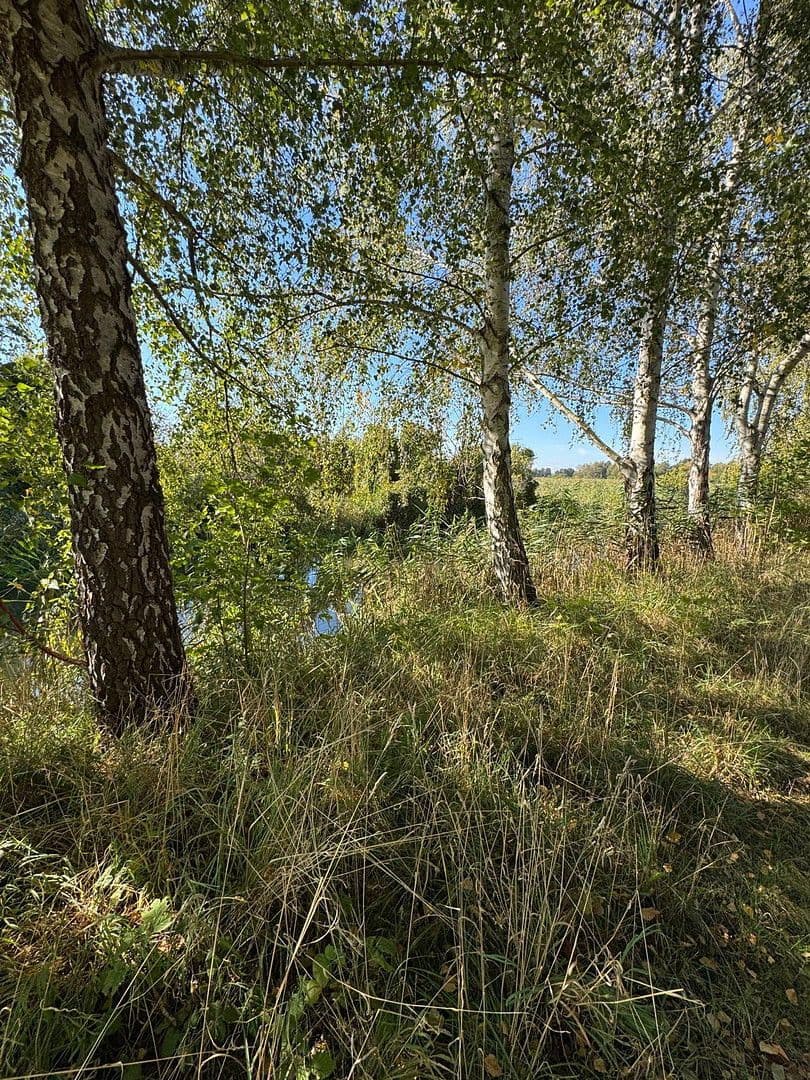 Predaj domu 800 m², pozemek 1.500 m², Neuhardenberg, Brandenbursko Predaj domu 800 m², pozemek 1.500 m², Neuhardenberg, Brandenbursko