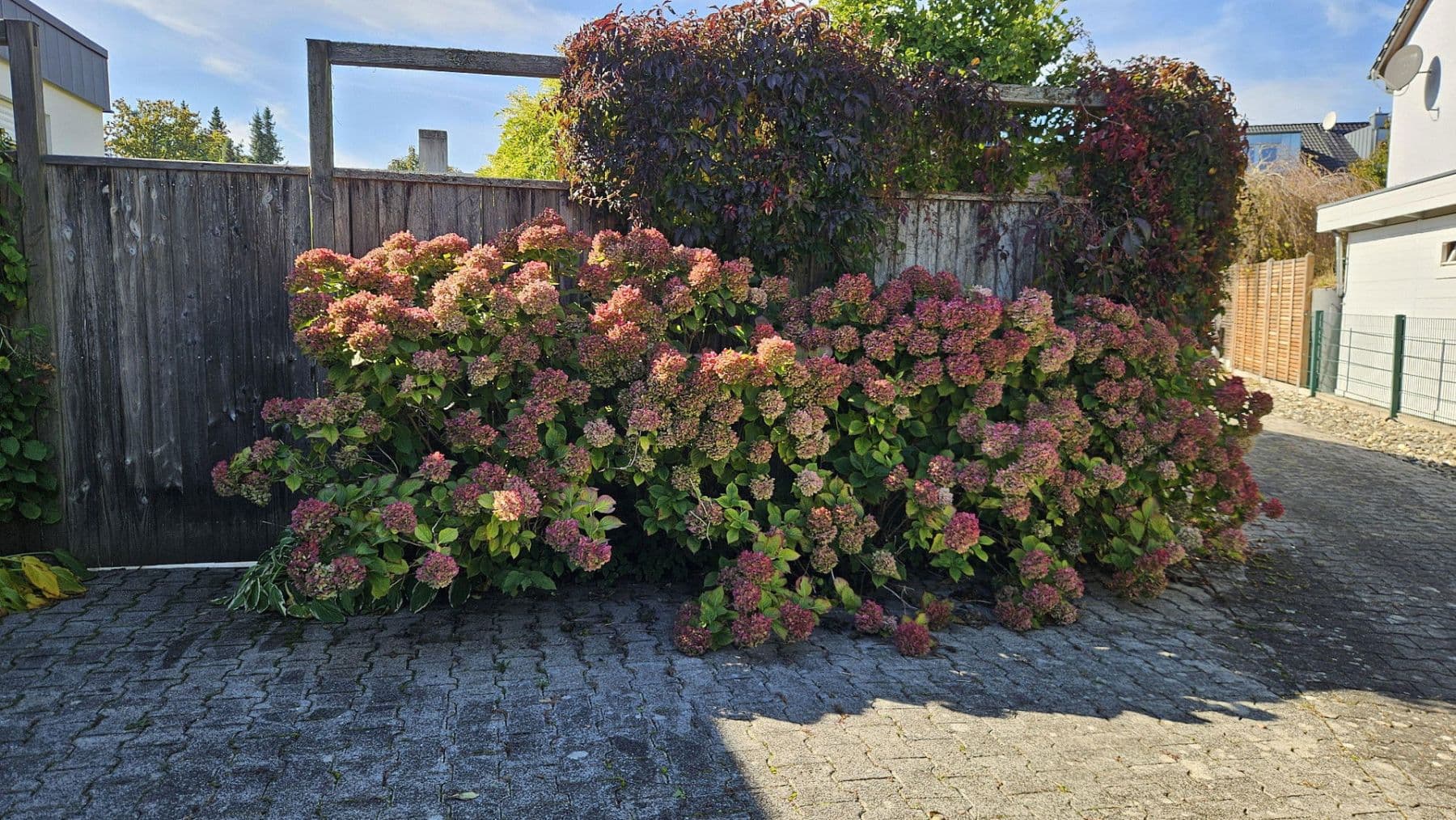 Predaj domu 100 m², pozemek 610 m², Ingolstadt, Bavorsko Predaj domu 100 m², pozemek 610 m², Ingolstadt, Bavorsko