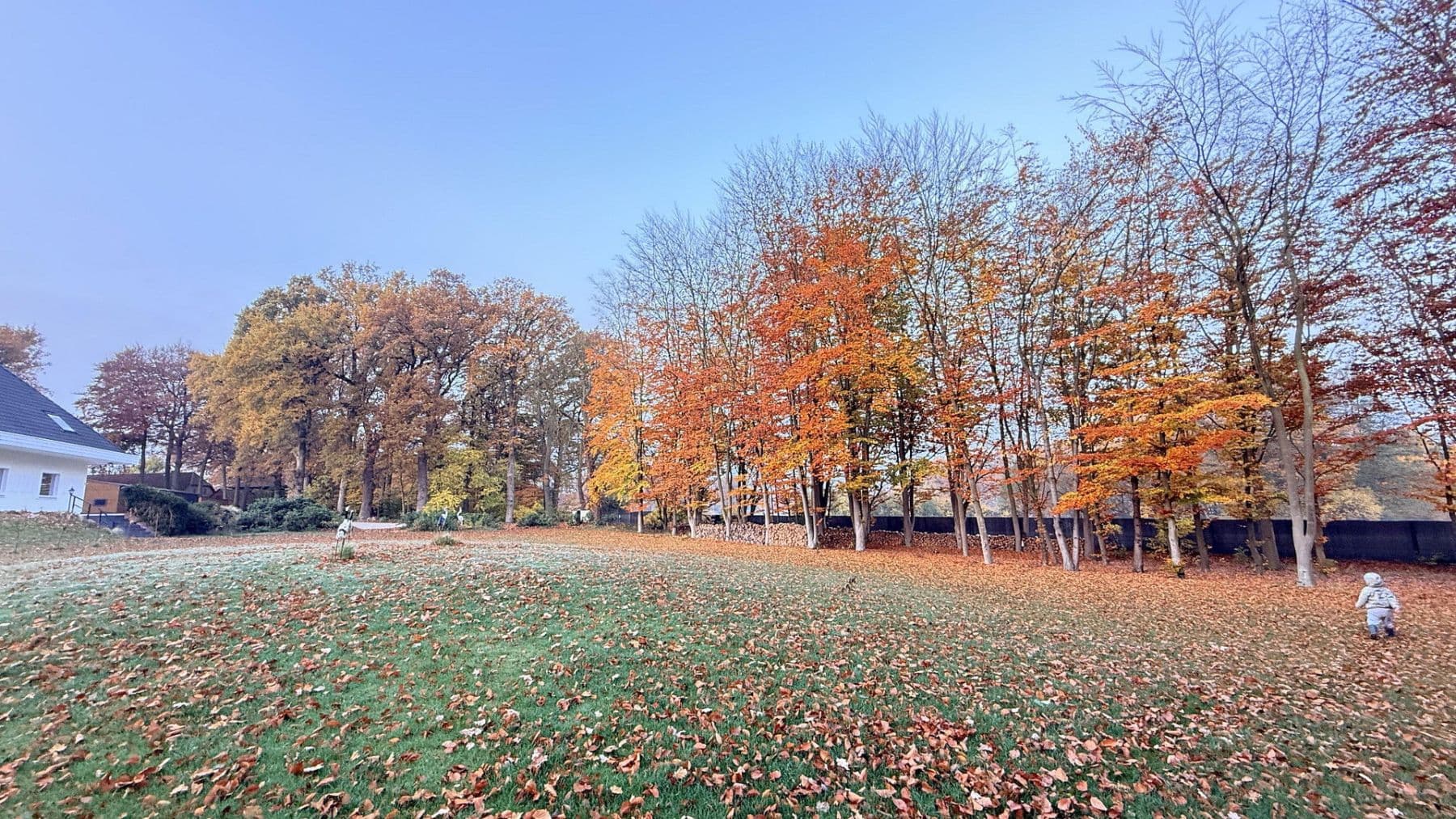 Predaj domu 877 m², pozemek 23.976 m², Balge, Dolné Sasko Predaj domu 877 m², pozemek 23.976 m², Balge, Dolné Sasko