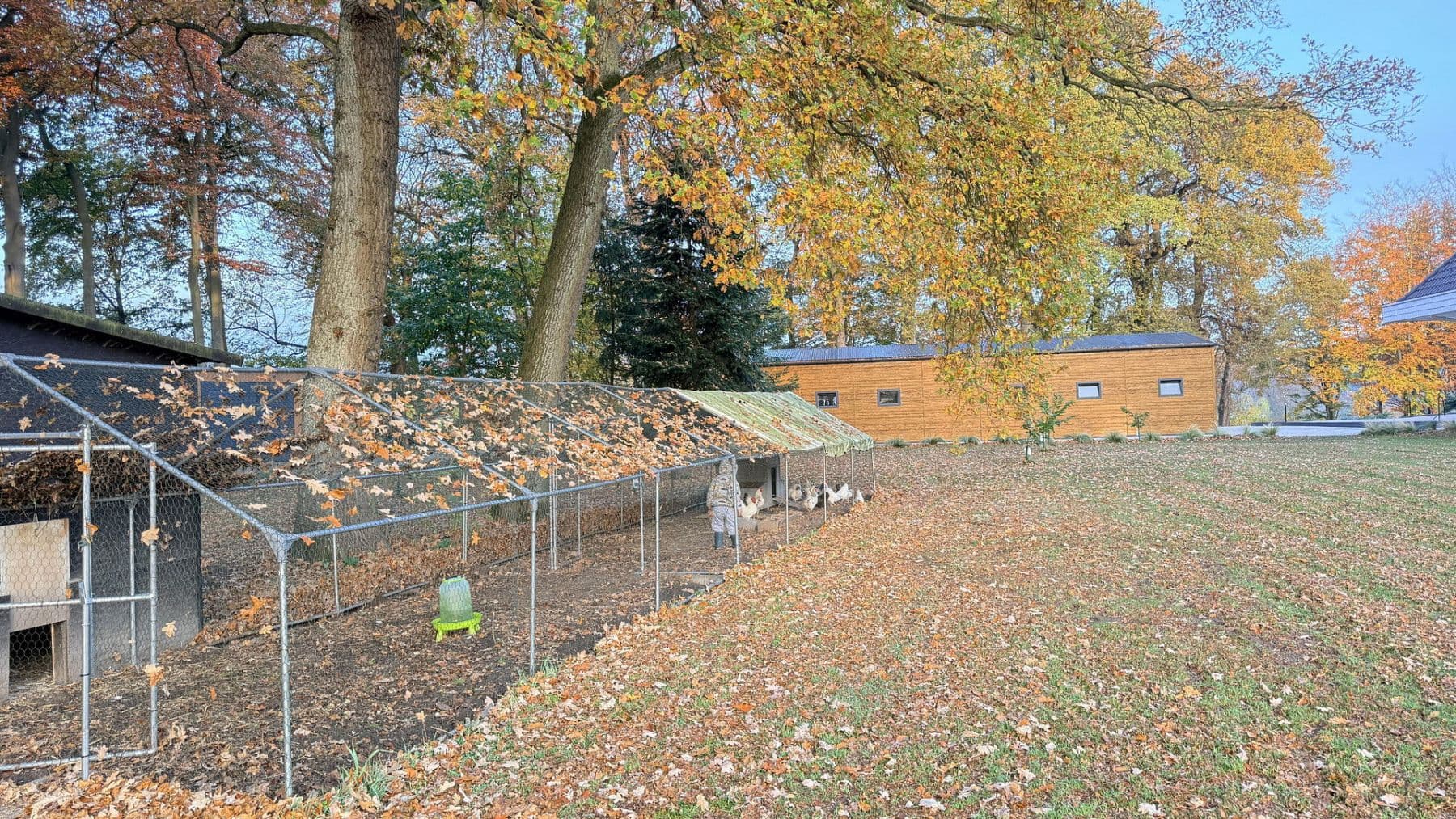 Predaj domu 877 m², pozemek 23.976 m², Balge, Dolné Sasko Predaj domu 877 m², pozemek 23.976 m², Balge, Dolné Sasko