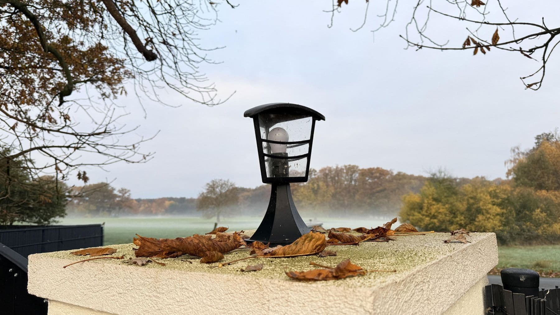 Predaj domu 877 m², pozemek 23.976 m², Balge, Dolné Sasko Predaj domu 877 m², pozemek 23.976 m², Balge, Dolné Sasko