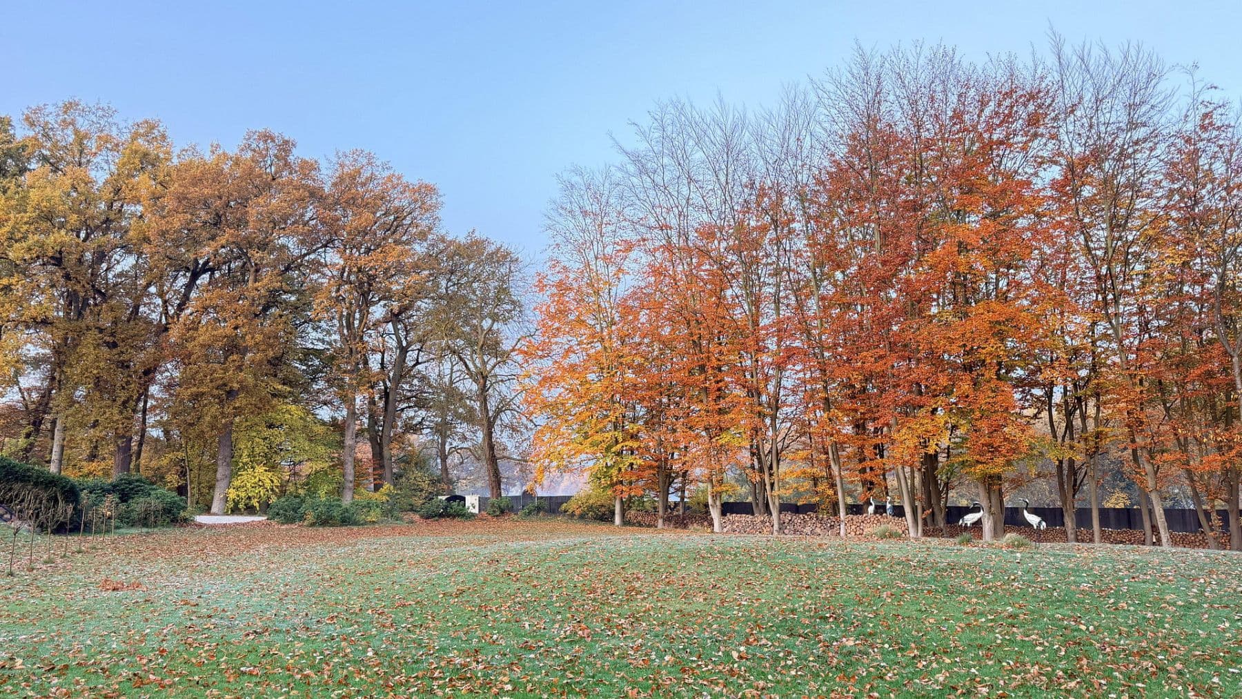 Predaj domu 877 m², pozemek 23.976 m², Balge, Dolné Sasko Predaj domu 877 m², pozemek 23.976 m², Balge, Dolné Sasko